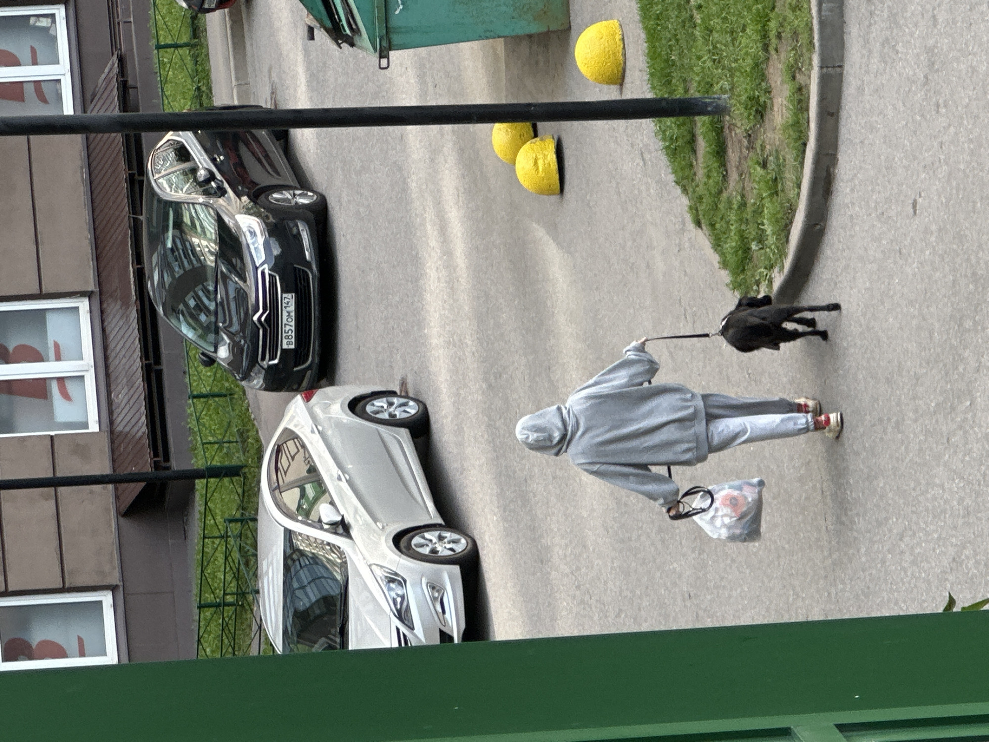 In Murino, Russia, a person wearing a grey hooded sweatshirt and sweatpants walks a black dog on a leash across a paved area. The person is carrying a plastic bag in their left hand. To the left of the person is a silver sedan, and further back and to the right is a black hatchback. Several yellow, dome-shaped bollards are situated in the middle ground, and a green dumpster is visible on the far right. A grassy area with a curb runs along the right side of the paved area. The scene appears to be a residential courtyard.