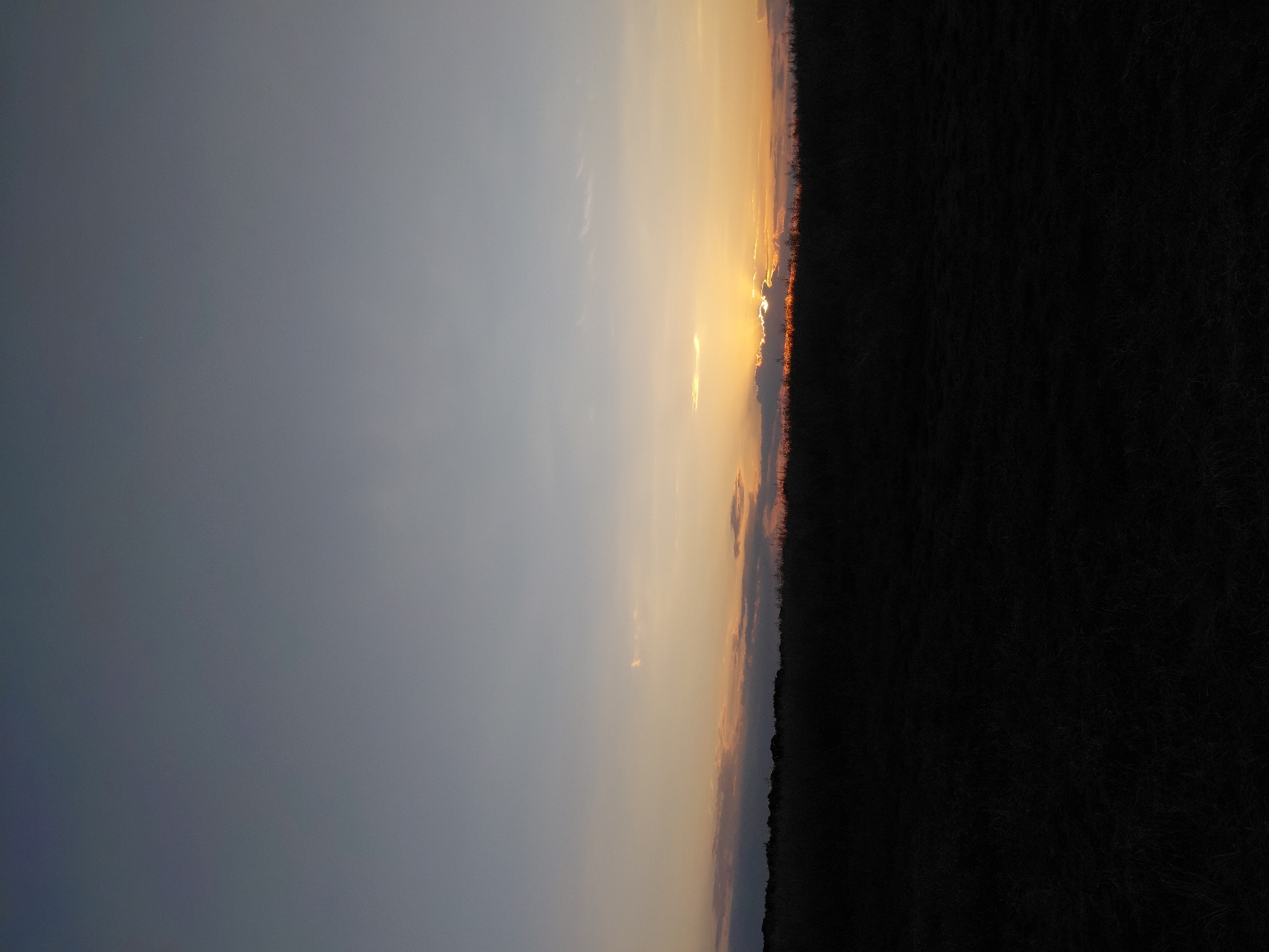 A photograph captures a sunset over a field in Ustyvytsia, Ukraine. The sky transitions from a pale blue at the top to hues of orange and yellow near the horizon. A line of dark silhouetted trees or bushes borders the bottom third of the image, with the foreground consisting of a dark, unidentifiable field, possibly of grass or low-lying vegetation. The sun is partially obscured by clouds at the horizon, casting a warm glow. No people or animals are visible in the frame.