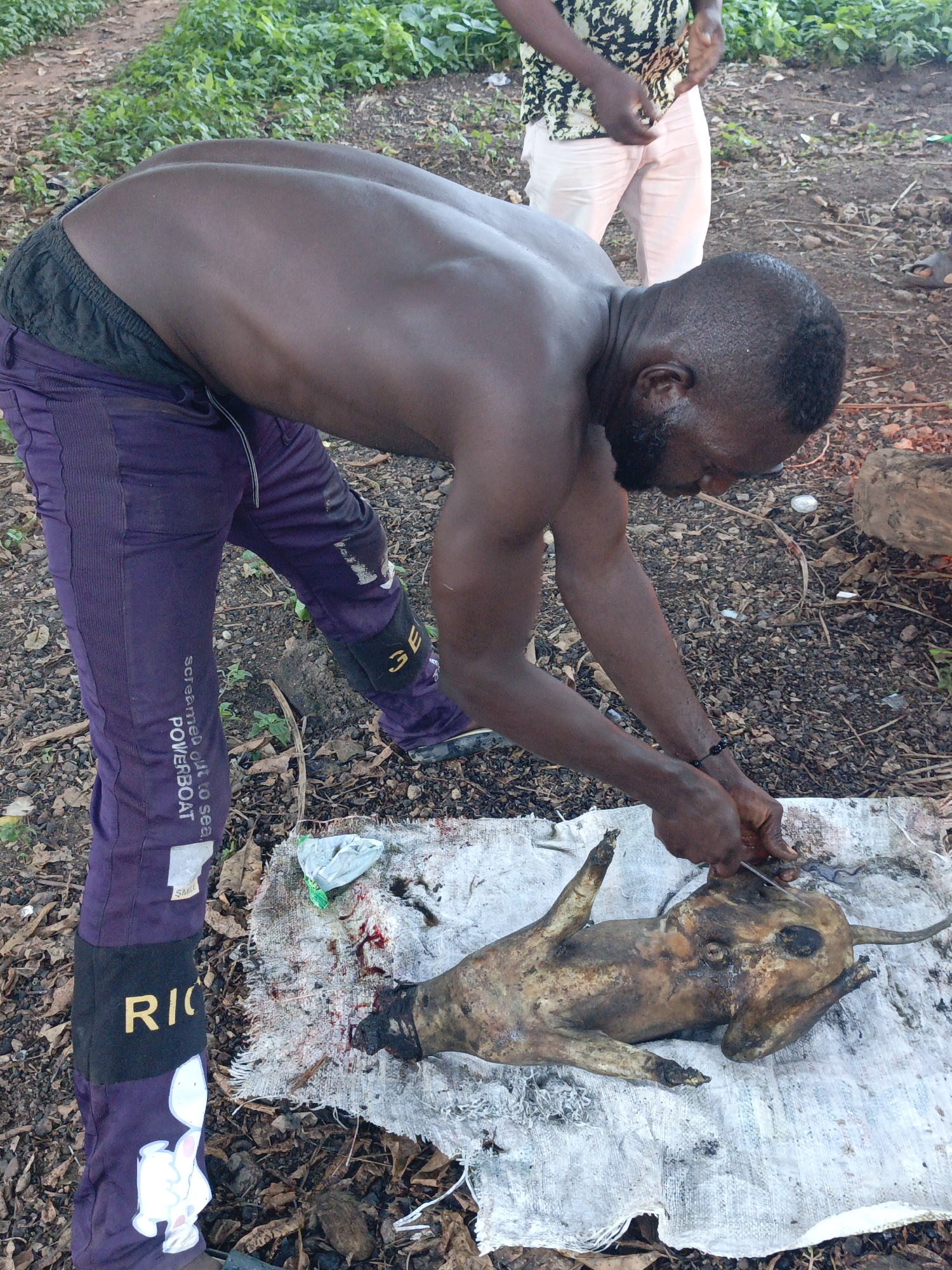 Akwanga, Nigeria. A shirtless Black male wearing purple pants is bent over and cutting into the carcass of a singed dog lying on a white cloth on the ground. Another man is partially visible in the background. The surrounding area is dirt and foliage.