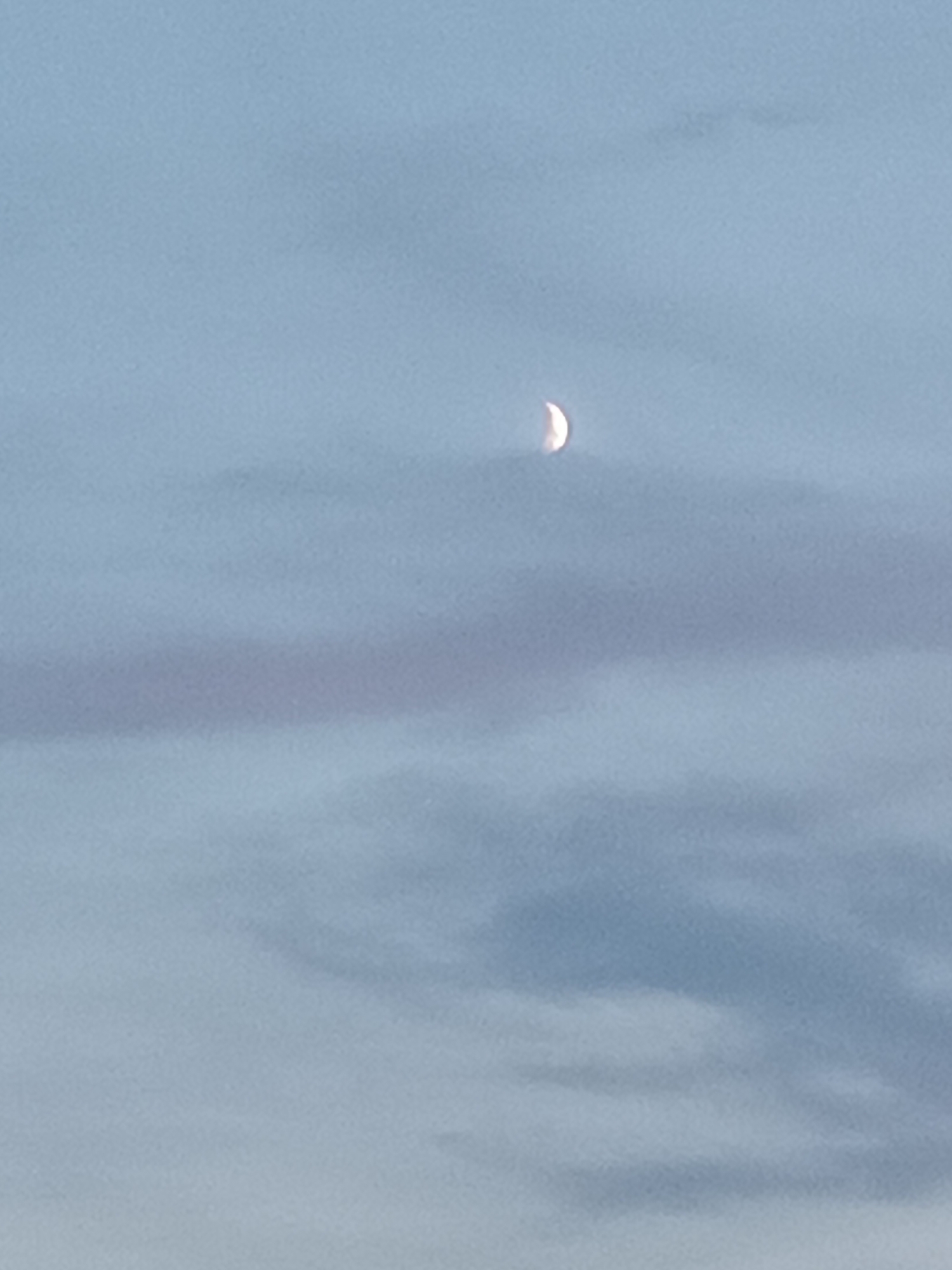 The image shows a crescent moon in a pale blue sky with wispy clouds. The moon is positioned in the upper right quadrant of the image. The sky is a uniform pale blue, with subtle variations in tone suggesting clouds. There are no other discernible objects or features in the sky. The image appears to be a photograph taken during daylight or twilight, given the brightness of the sky and the presence of clouds. The location of Viadana, Italy, is not evident from the image itself, as there are no landmarks or urban elements visible.