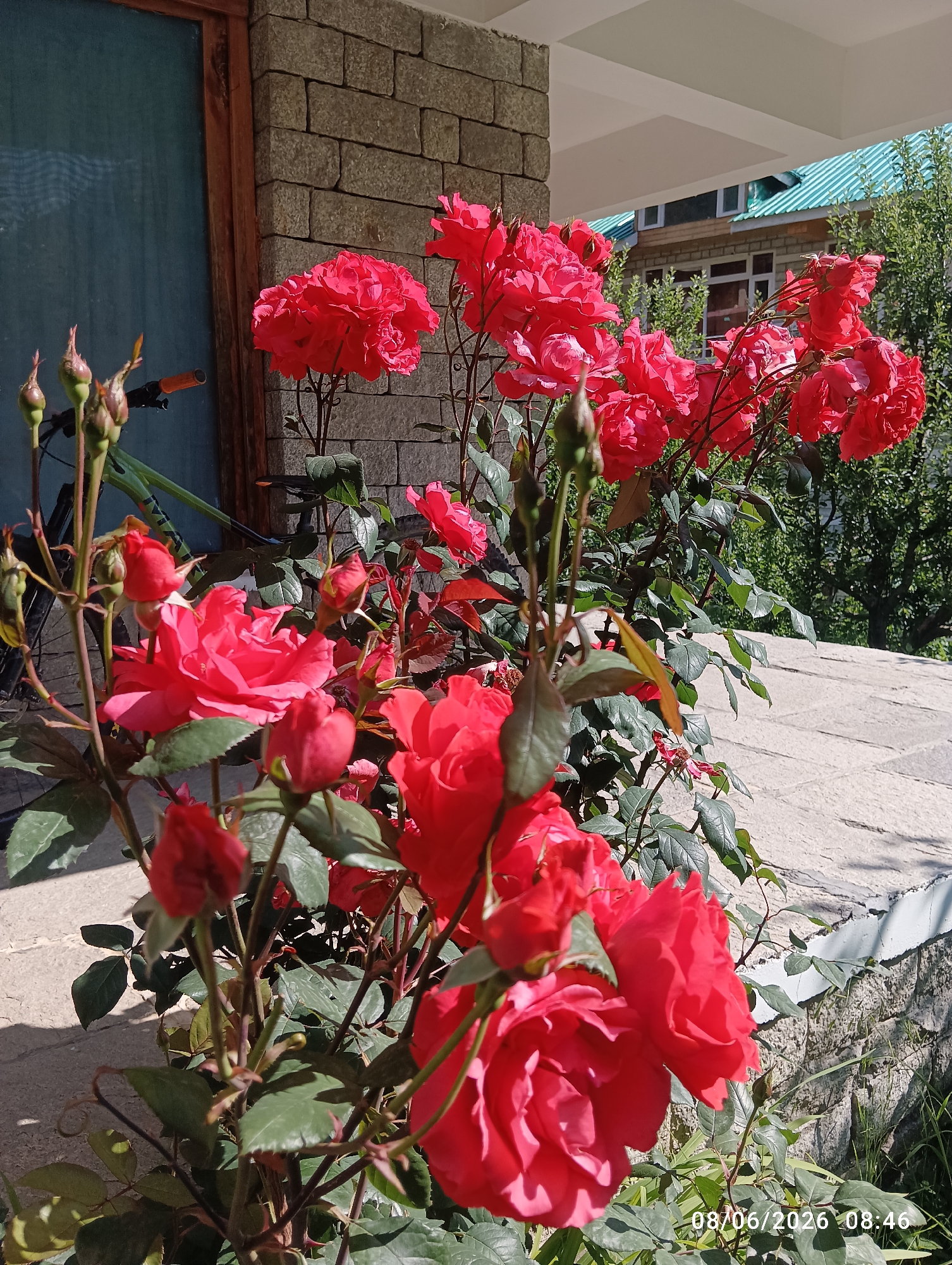 Memory