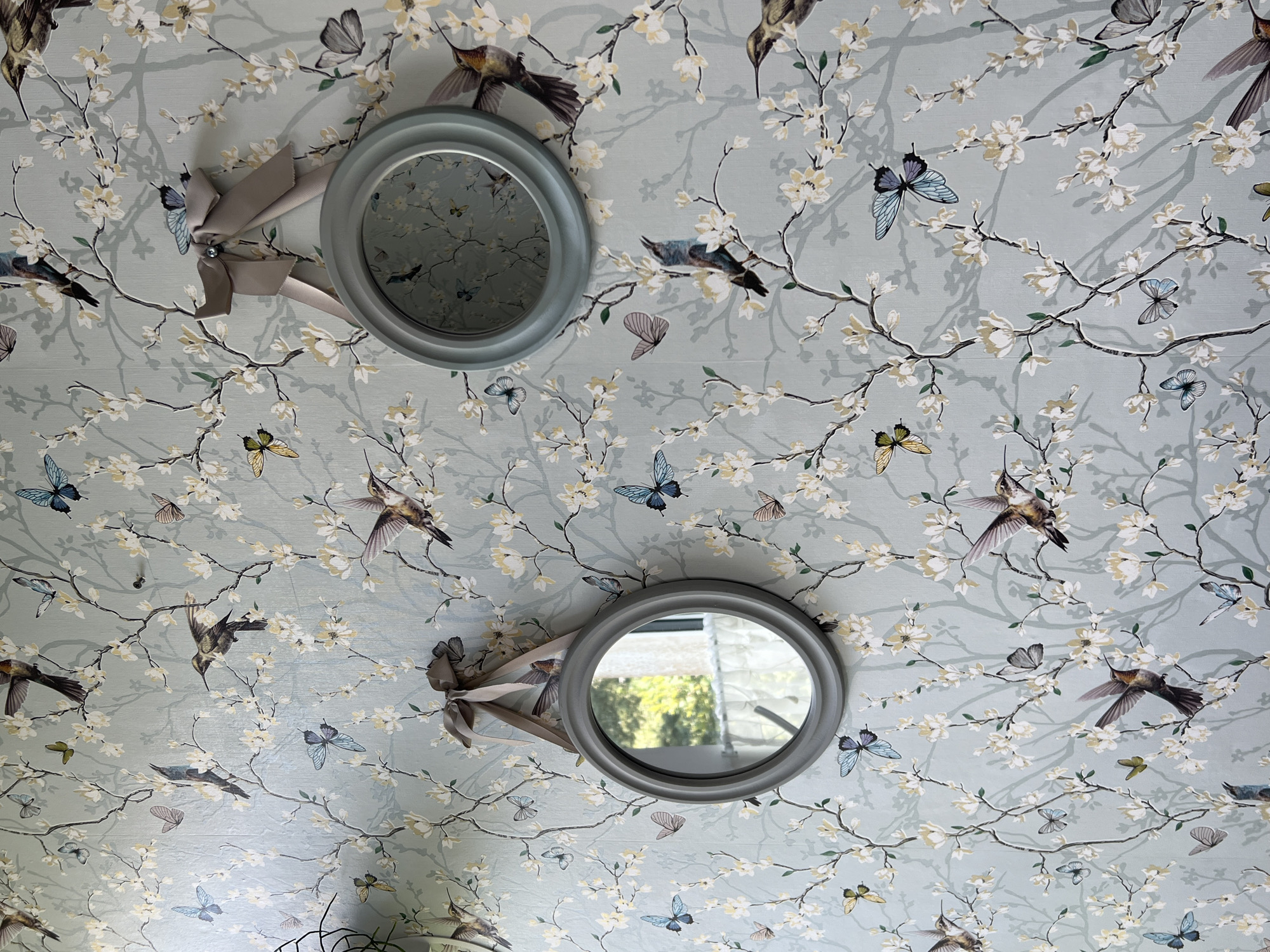 This image depicts a close-up view of a wall covered in light blue wallpaper featuring a repeating pattern of birds, butterflies, and flowering branches. Two round mirrors, each framed in a muted gray, are hung on the wallpaper. The mirror on the left is smaller and positioned slightly lower than the mirror on the right. Both mirrors are suspended by gray ribbons tied in bows, with a small embellishment on each bow. The reflections in the mirrors show greenery and sunlight, suggesting an outdoor view. The overall scene is still and decorative. The image does not provide any information about the city of Veliky Novgorod, Russia, or any individuals.