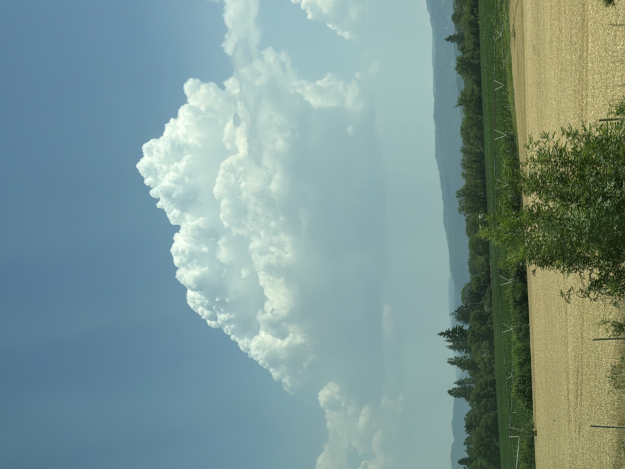 This media file captures a rural landscape under a bright sky. The scene is dominated by a large, white cumulus cloud formation that extends across the upper left portion of the frame. The cloud is textured and appears to be the focal point of the sky.
To the right of the clouds, a field of dry, light-colored crops, possibly harvested wheat or corn, stretches towards a line of lush green trees. Beyond the trees, a gentle slope of hills is visible, shrouded in a light haze. A man-made irrigation system, characterized by its horizontal pipes and V-shaped supports, is present within the cultivated field. The overall setting suggests a warm, sunny day, likely late spring or summer, given the dryness of the field and the presence of full green foliage.
The orientation of the image is vertical, with the sky and clouds positioned to the left and the land elements to the right. The soft lighting indicates it is likely daytime, possibly mid-morning or afternoon. There is no visible text in the image. The scene evokes a sense of peacefulness and the vastness of nature. The image was taken in Villieu-Loyes-Mollon, France.