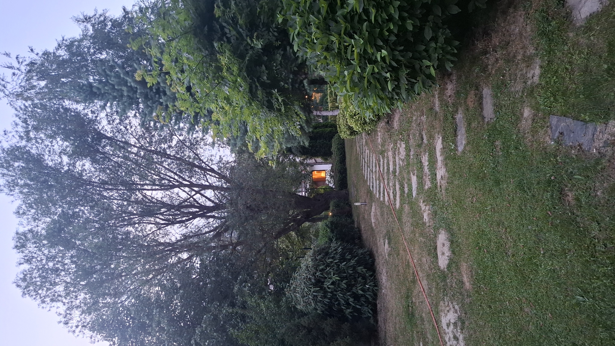 This media file captures a serene outdoor scene at dusk in Razlog, Bulgaria. The central focus is a pathway made of square stepping stones, bordered by lush green grass and a variety of trees and shrubs. A large, mature tree with a sprawling canopy dominates the left side of the image, its branches reaching towards the softly lit sky.
In the background, a building with illuminated windows adds a warm glow, suggesting indoor activity and a sense of home. The lighting indicates it is either early morning or late evening, with the ambient light of the sky transitioning. The overall atmosphere is peaceful and tranquil, evoking a feeling of calm and domesticity. There are no people visible in the frame, and no text is present. The natural elements of the garden, combined with the inviting light from the building, create a picturesque and inviting scene.