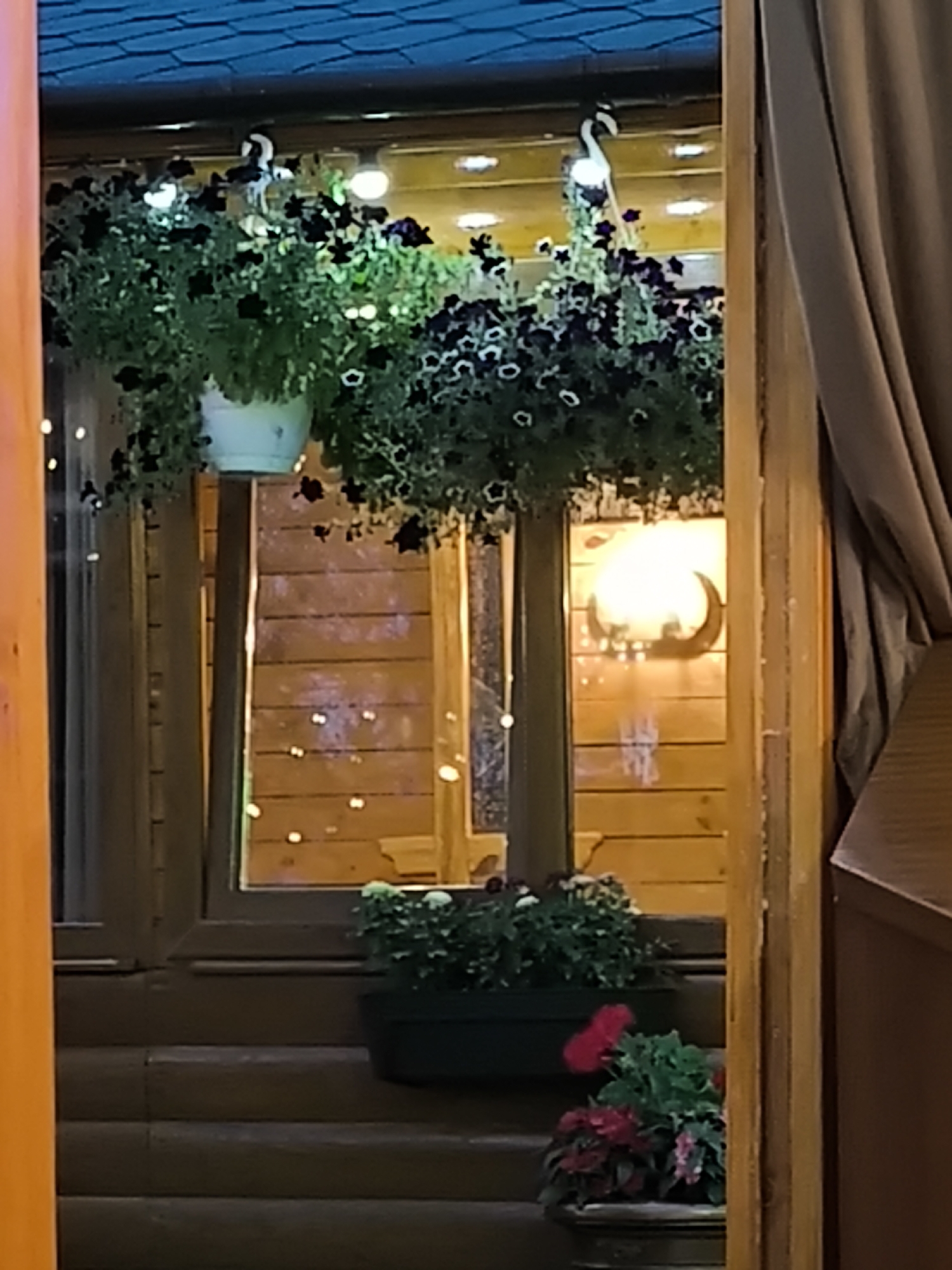 The image shows a close-up view of a building's exterior, likely a cafe or restaurant, featuring decorative elements. Hanging baskets filled with dark-flowered plants are suspended above a window. Two decorative white birds, possibly ornaments or part of the lighting, are visible among the foliage. Behind the plants and window, wooden siding is visible, adorned with what appear to be small, lit fairy lights. A crescent-shaped lamp with a warm glow is mounted on the wooden wall. Below the window, a dark planter contains green foliage, and a smaller pot in the foreground holds a cluster of red and pink flowers. The scene is framed by the building's wooden structure and a beige curtain. The overall impression is one of an inviting, possibly evening, outdoor ambiance.
