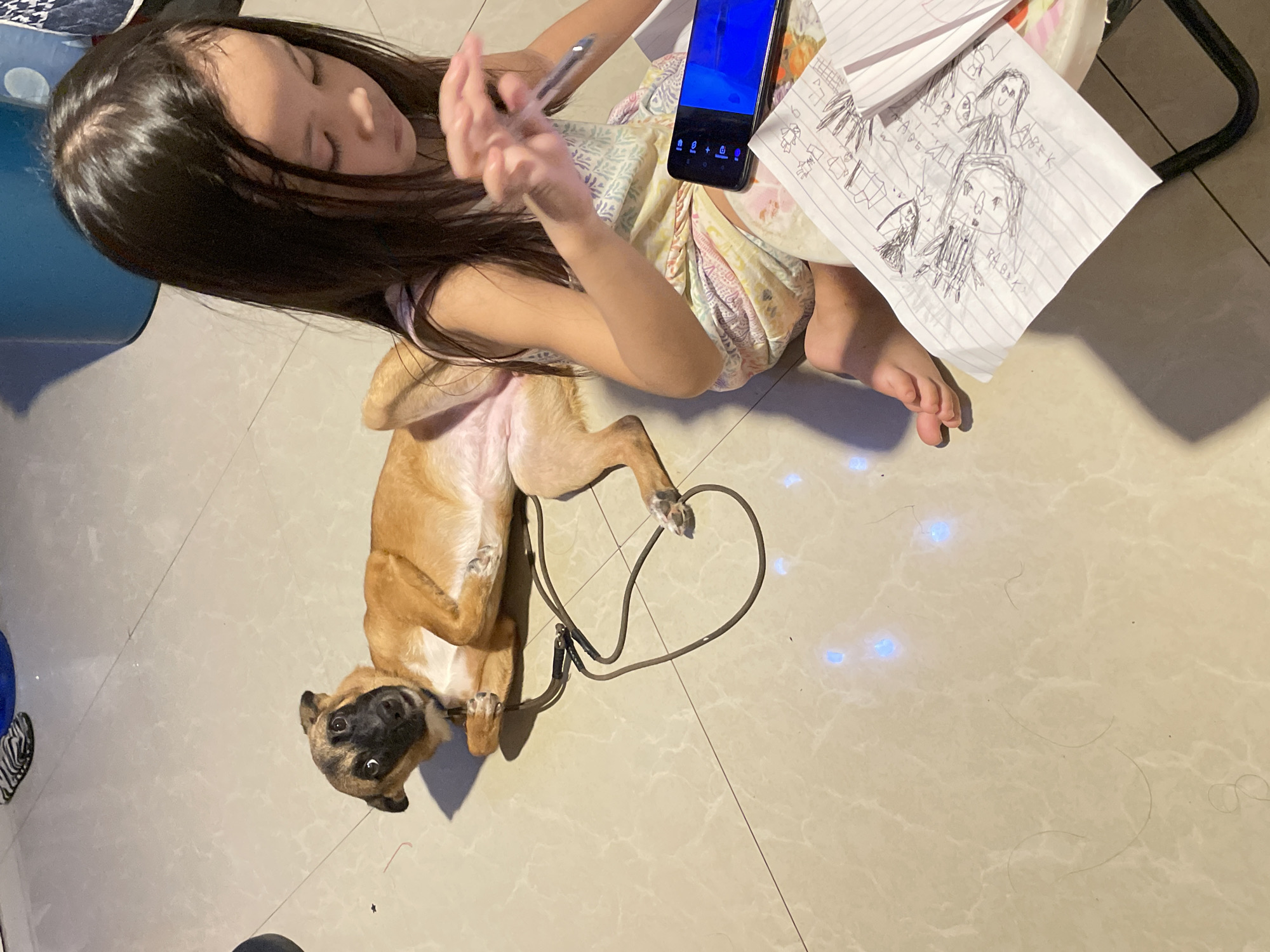 In Davao City, Philippines, a young girl with long dark hair sits on a tiled floor, engrossed in drawing on lined paper. A brown puppy lies on its back beside her, looking up with a curious expression, a leash coiled around its body. The girl holds a pen in her right hand and has a smartphone in front of her. The scene appears to be indoors, possibly a home, with the light casting shadows on the floor.