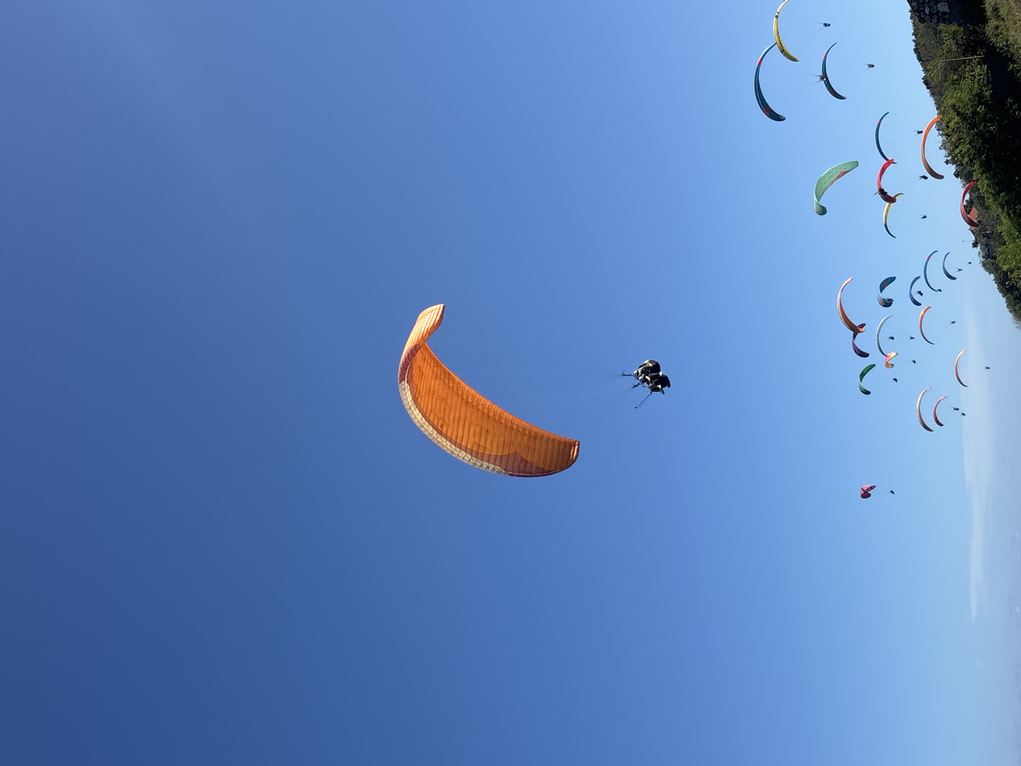 The image, taken from a low angle, shows multiple paragliders in the sky above Kuta Selatan, Indonesia. The sky is clear blue. One large orange paraglider is prominent in the left side of the frame, with two people suspended below. A multitude of other paragliders, of varying colors (including yellow, green, orange, and pink) are scattered in the sky toward the upper-right corner of the frame. Lush green vegetation is visible along the edge of the land in the upper-right, suggesting a coastal cliffside setting. The overall scene depicts an active paragliding area.