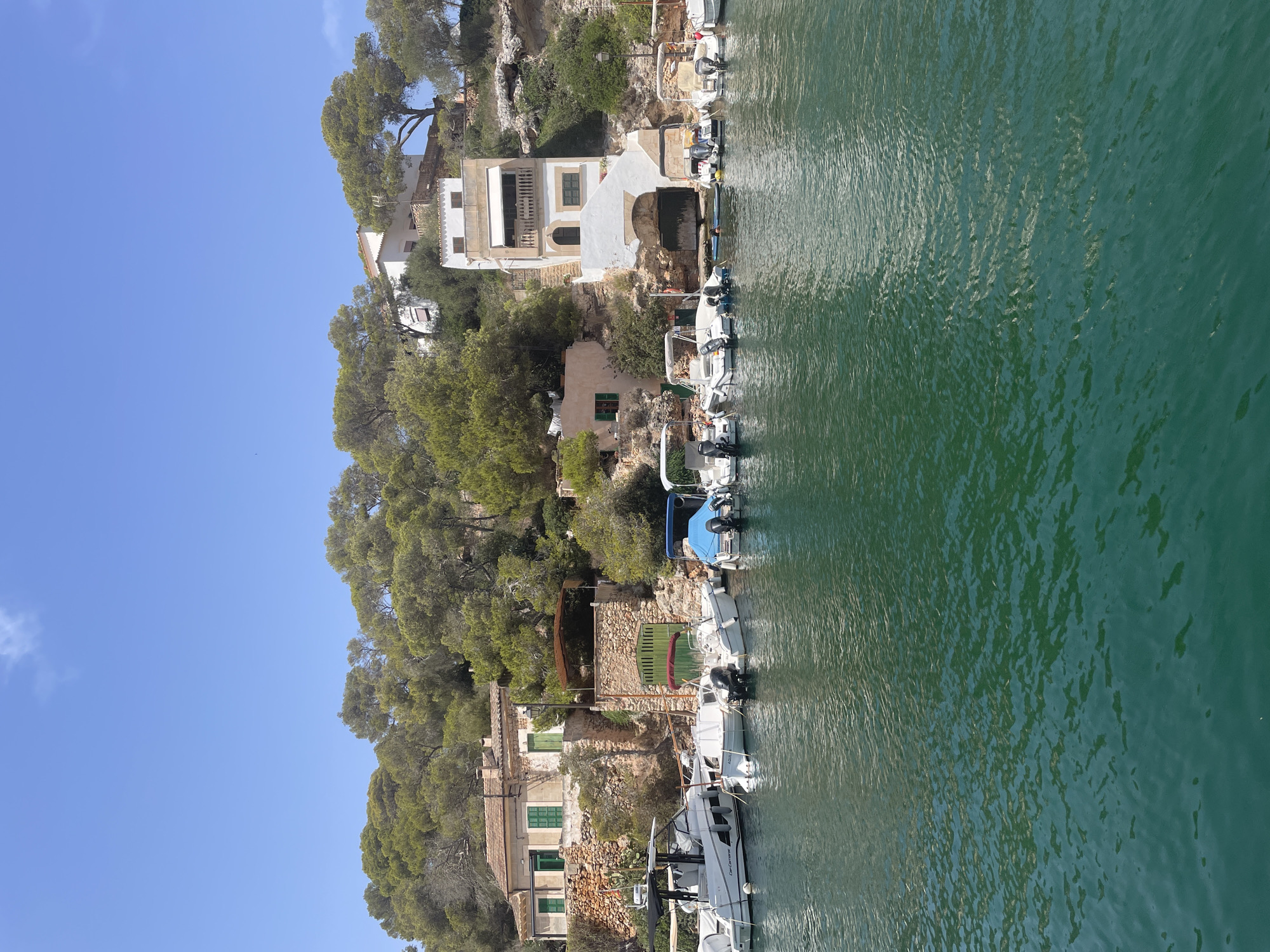 A sunny day scene depicts a small harbor in Cala Figuera, Santanyí, Spain. The water in the foreground is a vibrant turquoise, with gentle ripples reflecting the sky. Along the edge of the harbor, several boats are moored. These range from small motorboats with outboard engines, some covered with blue tarps, to a larger white motor yacht on the left.
Behind the boats, the shoreline is lined with buildings and lush green trees. The architecture is traditional Mediterranean, featuring stone bases and lighter-colored upper structures. Some buildings have terracotta-tiled roofs and green shutters. One prominent building is a multi-story white structure with a balcony and an arched entryway at its base, built into the rocky hillside. Another building to the left is a more rustic, single-story stone structure with a tiled roof and green shutters. The hillside is densely covered with pine trees, their green needles contrasting with the blue sky. A few cacti are visible near the stone walls.
In the middle of the harbor, a person is visible in the water, appearing to be swimming or floating. The overall atmosphere is peaceful and idyllic, characteristic of a Mediterranean coastal village.
