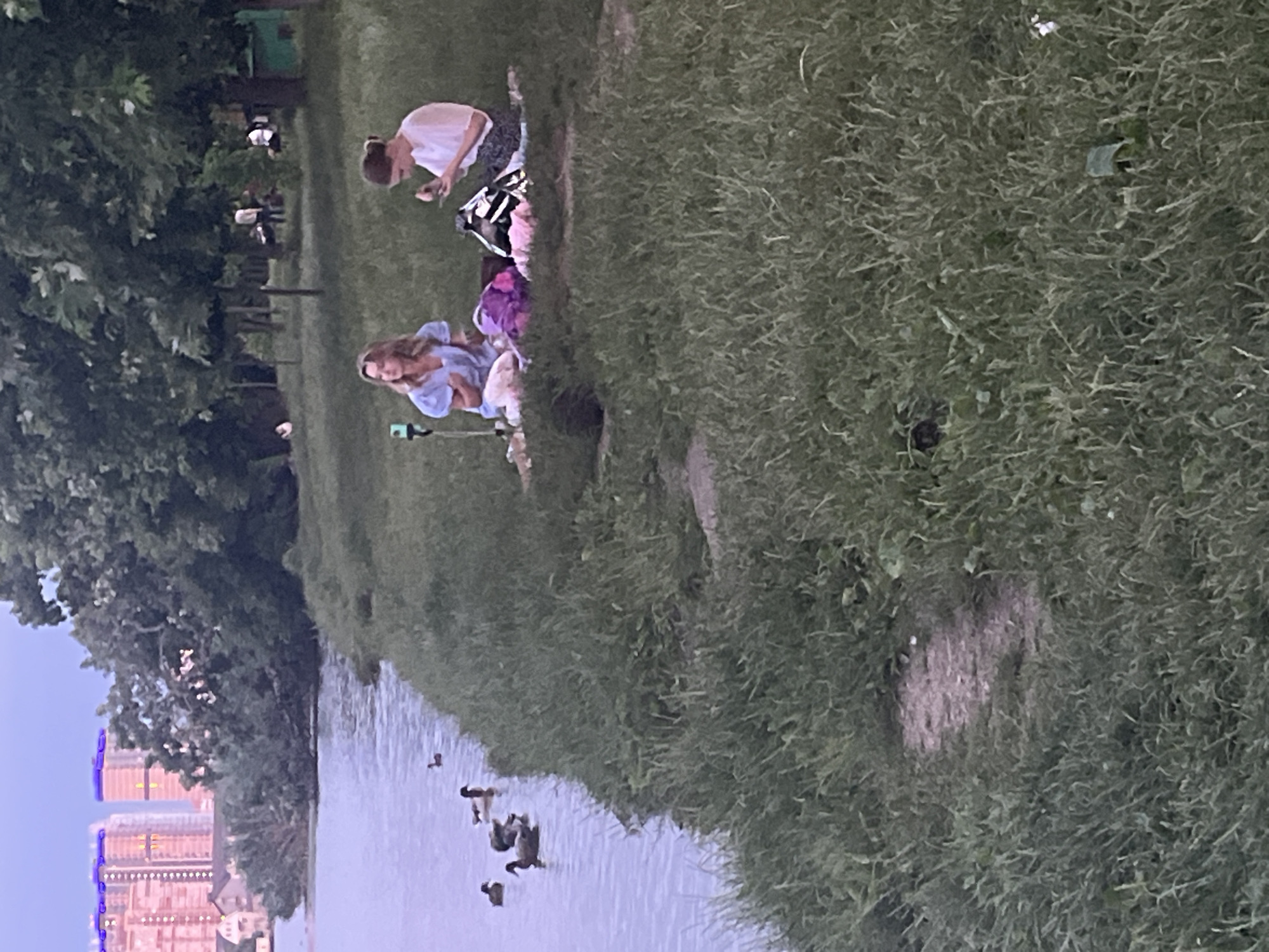 The image depicts a waterfront scene in Krasnodar, Russia, likely during the evening. In the foreground, a body of water with several ducks swimming is visible along the left side. The right side of the image shows a grassy embankment with two women picnicking on a blanket. One woman, wearing a blue top, is seated and looking towards a tripod with a device on it. The other woman, in a white top, is also seated and holding an object. A purple bag and other picnic items are on the blanket between them. In the background, trees line the embankment, and beyond the trees, tall buildings with illuminated windows can be seen, suggesting an urban environment. The sky is overcast with a twilight hue. The overall atmosphere is calm and relaxed, indicative of a leisurely outing in a park setting within the city.