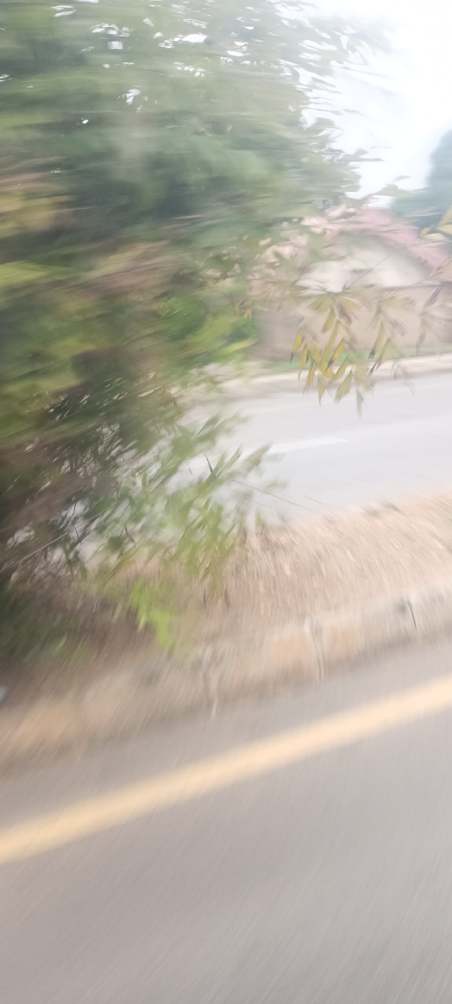 This heavily motion-blurred image captures a scene from the perspective of a moving vehicle in Jos, Nigeria. The primary subject matter consists of dense, green foliage, likely trees or bushes, dominating the left and upper portions of the frame. The leaves and branches are streaked and indistinct, indicative of rapid motion. Towards the mid-ground, a patch of dry, earthy terrain or a dirt shoulder is visible between the vegetation and the road.
The lower half of the image is occupied by a gray, blurry road surface. A prominent yellow solid line runs diagonally from the lower-left corner upwards towards the center-right, serving as a clear road marker. In the far upper-right background, faint, light-colored blurs suggest the presence of distant buildings or structures.
The overall impression is one of rapid travel through a landscape that appears to be either rural or semi-urban, given the mix of natural elements and possible man-made structures. The lighting is bright but diffuse, suggesting it is daytime, possibly under an overcast sky or during hours of softer sunlight. There are no discernible people or specific objects beyond the general landscape features. No visible text is present anywhere in the image. The heavy motion blur is the most notable visual detail, creating an abstract quality.