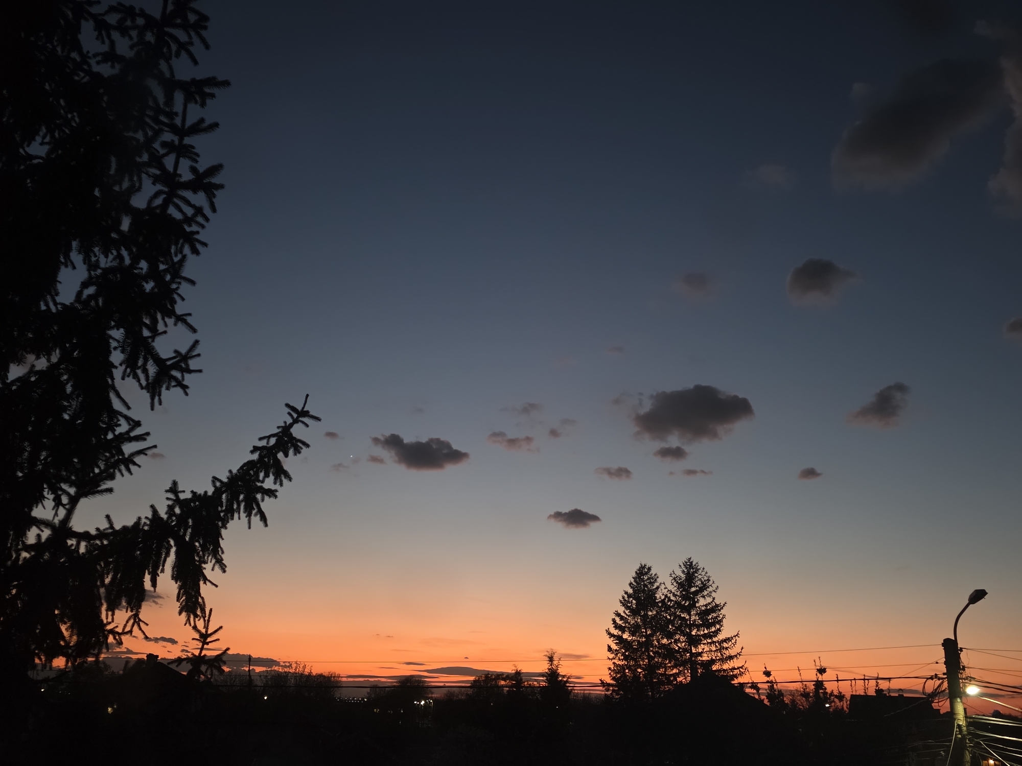 The image presents a twilight or sunset scene in Yagodovo, Bulgaria. The sky transitions from a deep blue at the top to an orange glow near the horizon. Several small, scattered clouds are visible in the sky. The silhouette of a large coniferous tree occupies the left side of the frame. In the lower portion of the image, the outlines of trees, buildings, and a utility pole with a street light can be seen against the vibrant sky. The scene suggests an urban or suburban area, likely in the vicinity of Yagodovo.