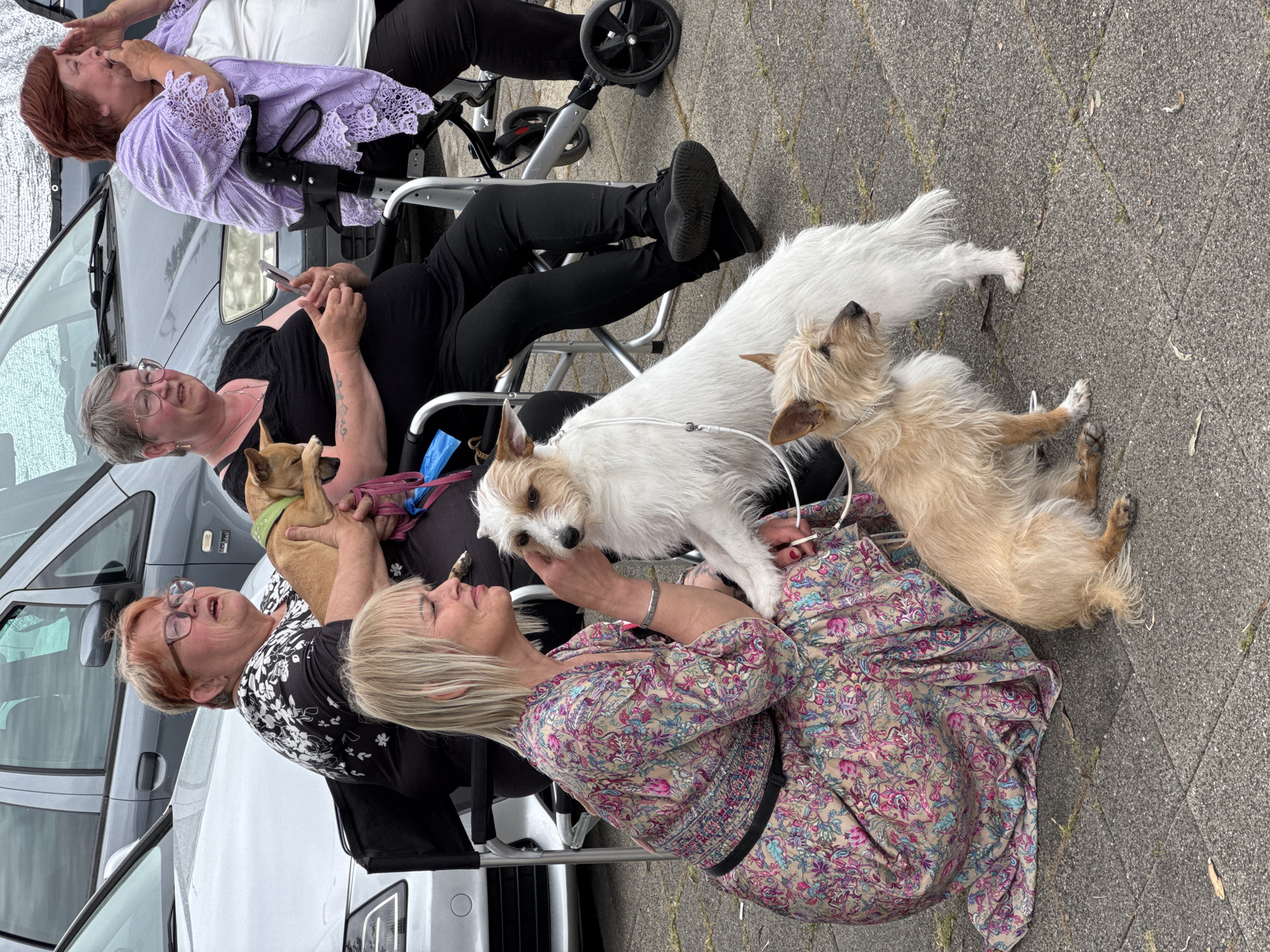 Four women are positioned near a silver van on a paved surface, possibly a street or parking area. One woman, seated and wearing a lilac top, has her eyes closed, with her hands covering her face. Another woman in black clothes is seated and looking downward at a cell phone in her hands. The third woman, wearing a black and white floral top and eyeglasses, is holding a small tan dog. The fourth woman is kneeling, wearing a floral dress and interacting with a white terrier-type dog with brown markings and a tan terrier-type dog standing on the pavement. The location appears to be in an urban area, possibly Bar, Montenegro, given the prompt. The interaction between the woman and the dogs suggests a candid moment.