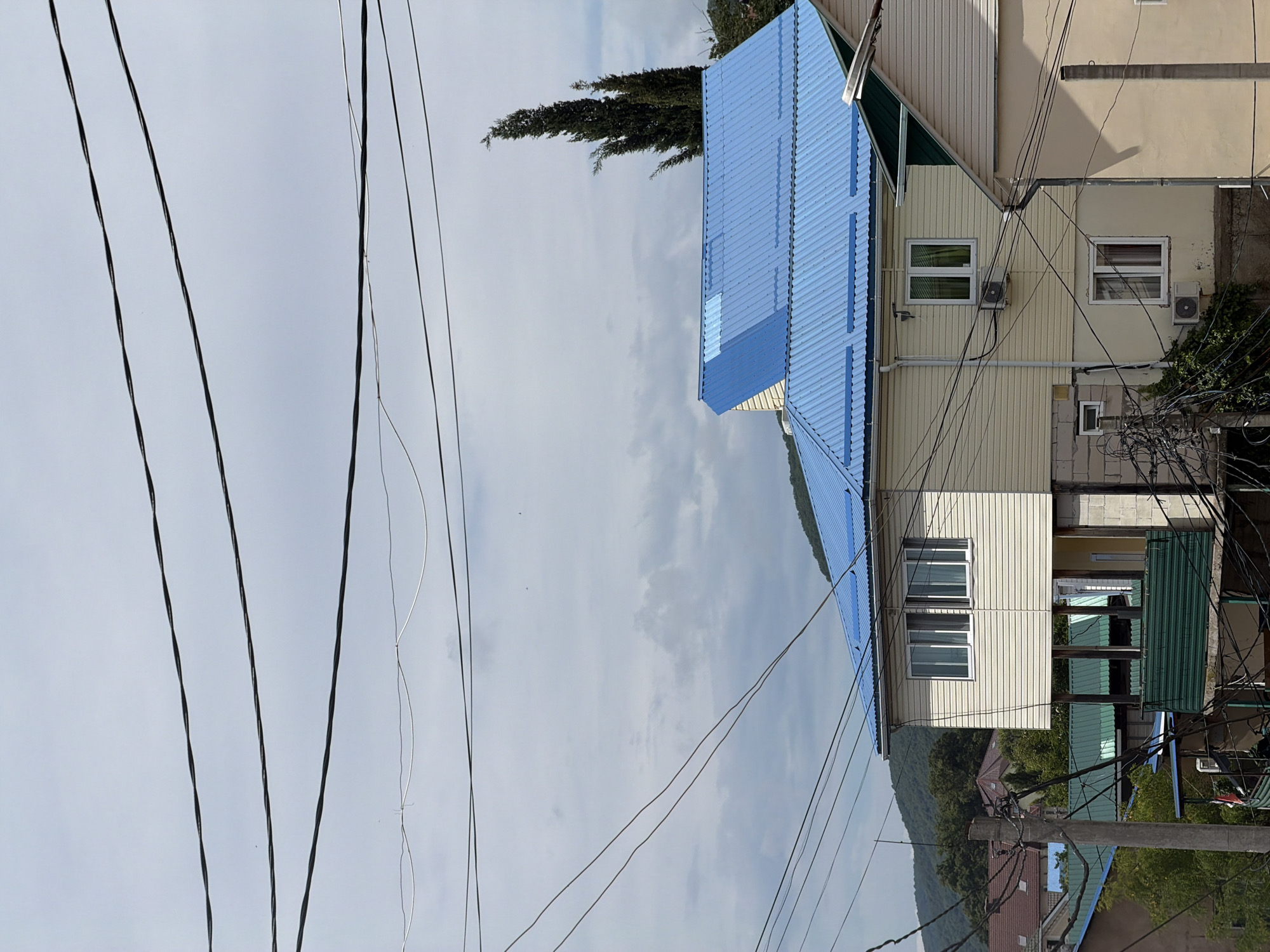 The image depicts a residential area in Sochi, Russia, characterized by houses with prominent blue corrugated metal roofs. Numerous utility wires crisscross the sky, obscuring portions of the scene and adding a sense of visual clutter. The architecture is a mix of styles, with one prominent house featuring a light-colored siding and multiple windows. Another building to its right has a light beige facade. In the background, a lush green hillside is visible, suggesting a location that is not entirely urban. The sky is overcast, with visible clouds. No people are present in the image.
