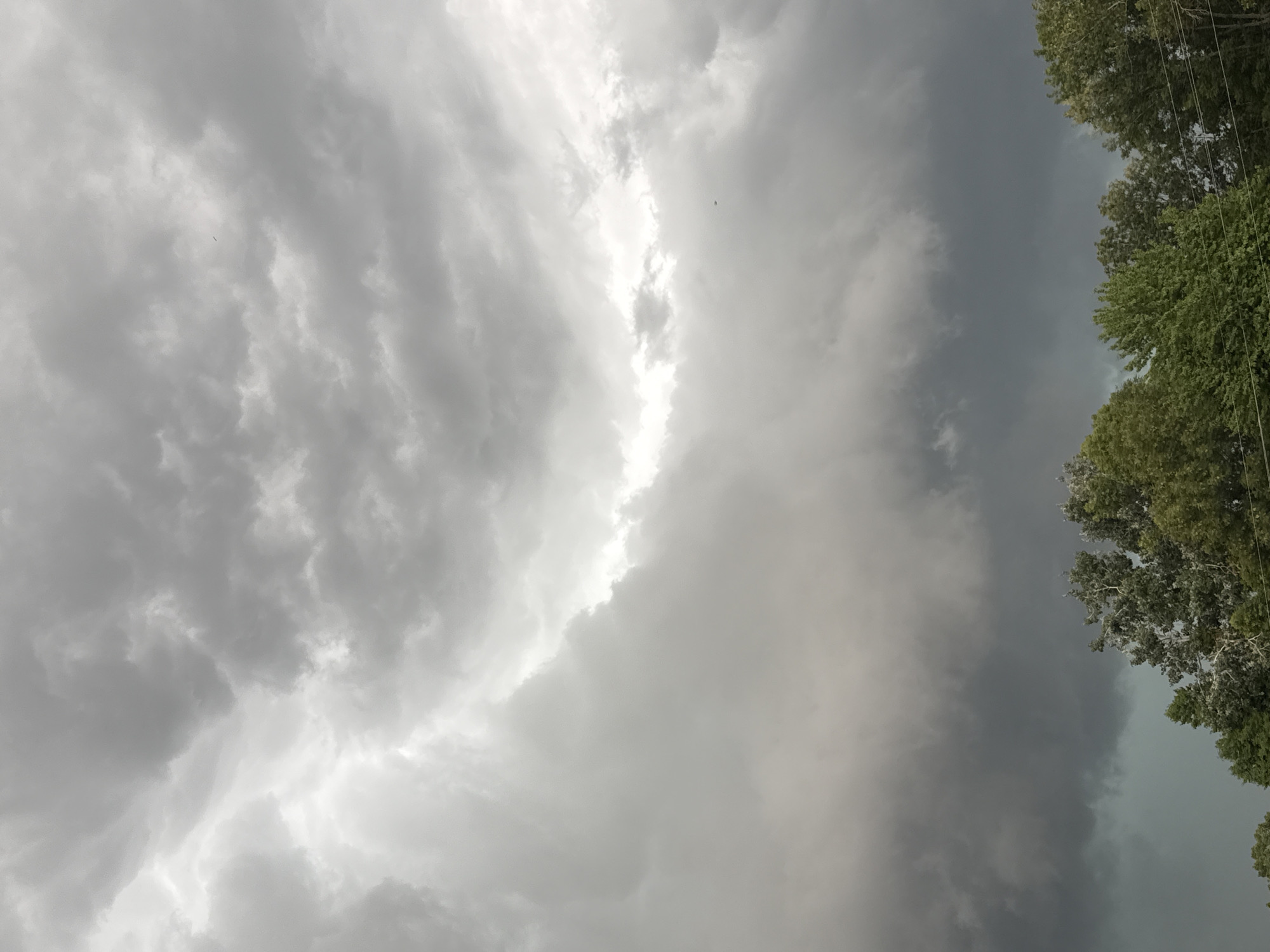 The image depicts a dramatic sky filled with dark, heavy storm clouds above a line of green trees. The clouds are dense and varied in texture, with some areas appearing lighter where sunlight is attempting to break through, while others are almost black, indicating the severity of the approaching weather. The trees in the foreground are lush and green, with their foliage creating a textured border against the ominous sky. The overall scene suggests an impending storm, with a strong sense of atmospheric tension. The location is identified as Hraniv, Ukraine.