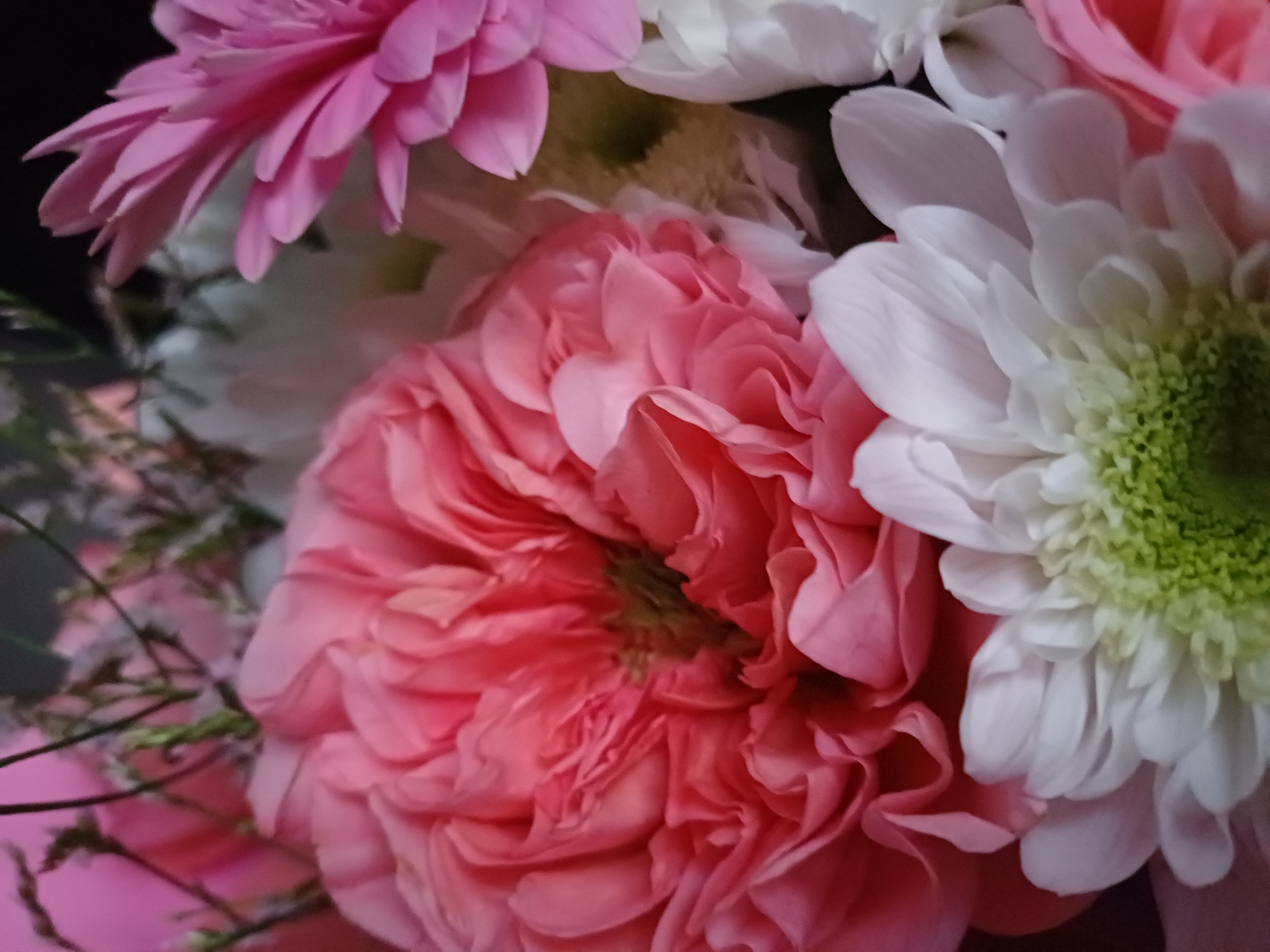 A close-up, overhead shot captures a vibrant bouquet of pink and white flowers, prominently featuring a large, ruffled pink rose in the center. To the right, a bright pink gerbera daisy with pointed petals peeks into the frame. Below the rose, white chrysanthemums with fuzzy green centers add texture and contrast. The background is a soft blur of pink and dark tones, suggesting an indoor setting. The lighting is diffused, highlighting the delicate textures of the petals. There are no people or discernible actions depicted.
