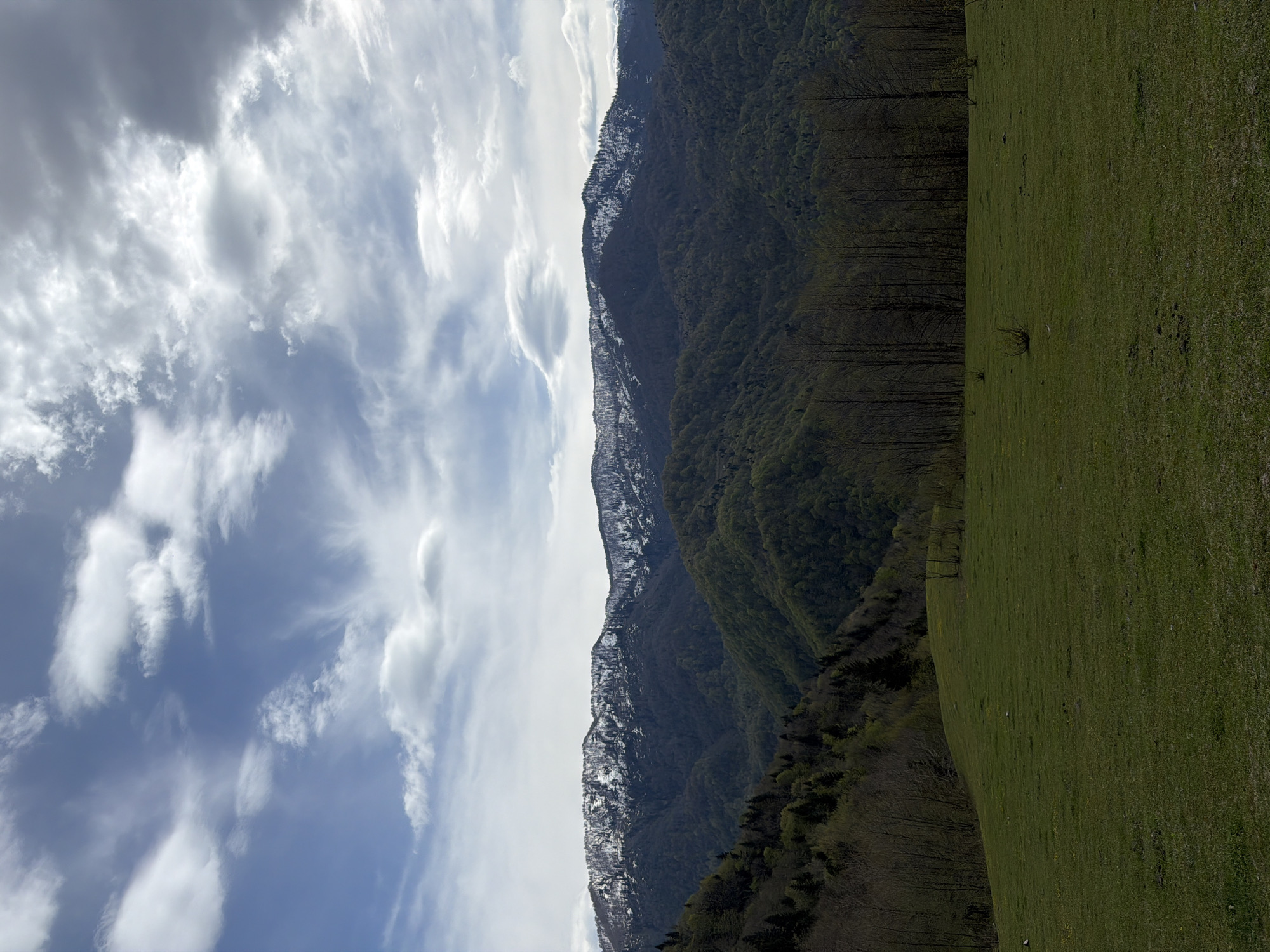The image shows a landscape in Vakhani, Georgia. On the right is a green meadow. To the left, a forest-covered mountain range stretches across the frame, with snow visible on the peaks. Above the mountains, the sky is filled with white clouds against a blue background.