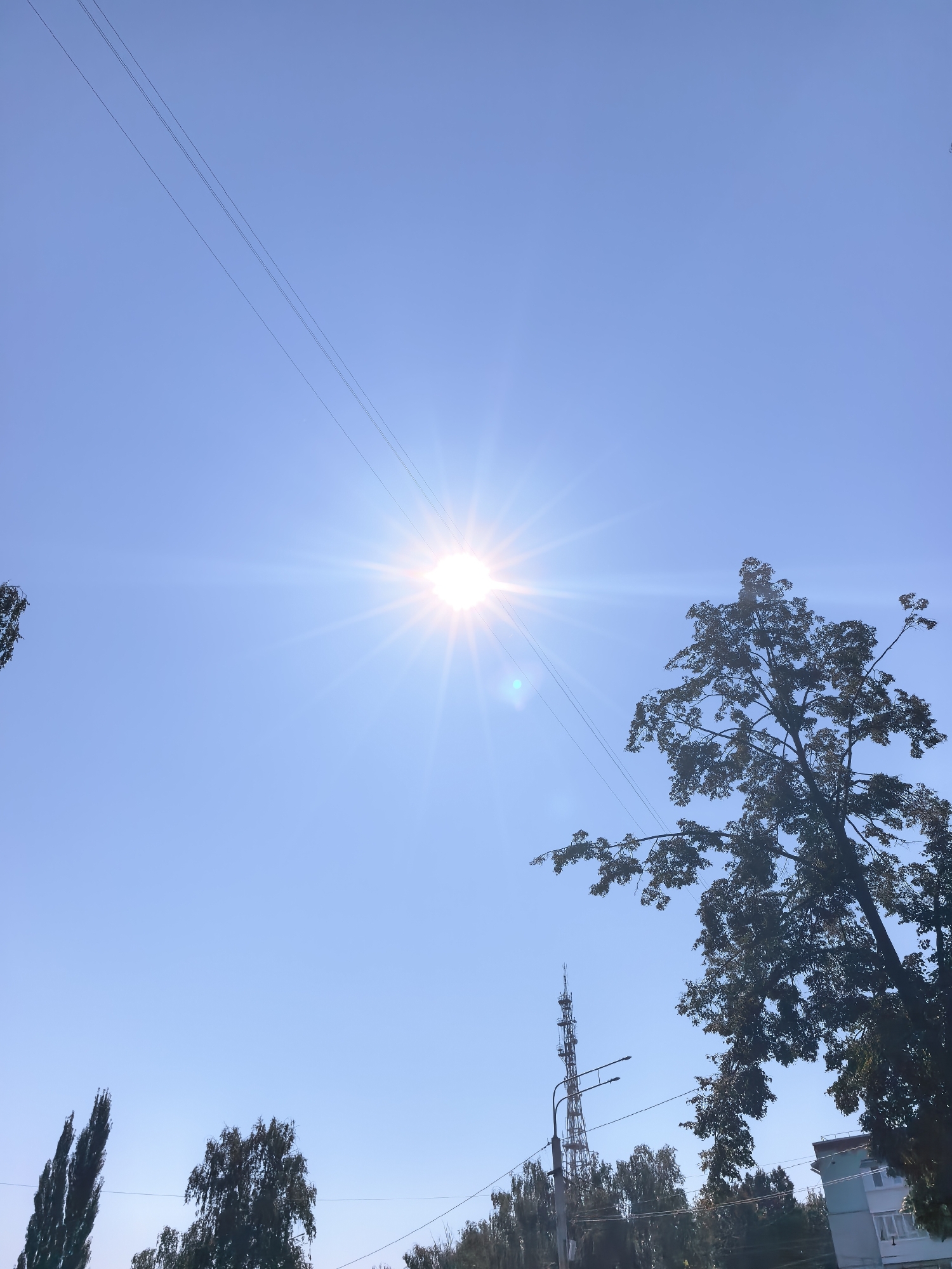 The image captures a bright, sunny day in Sterlitamak, Russia, with a clear blue sky dominating the scene. The sun is high in the sky, casting a strong glare and visible rays. Three parallel power lines stretch diagonally across the upper portion of the frame. In the mid-ground, a large tree with dark foliage is silhouetted against the sky, its branches reaching towards the sun. Below the tree and further in the background, a tall telecommunications tower is visible, accompanied by streetlights and a line of trees. To the far right, a portion of a light-colored building with a dark roof is partially visible. The overall environment appears to be an urban or suburban setting.