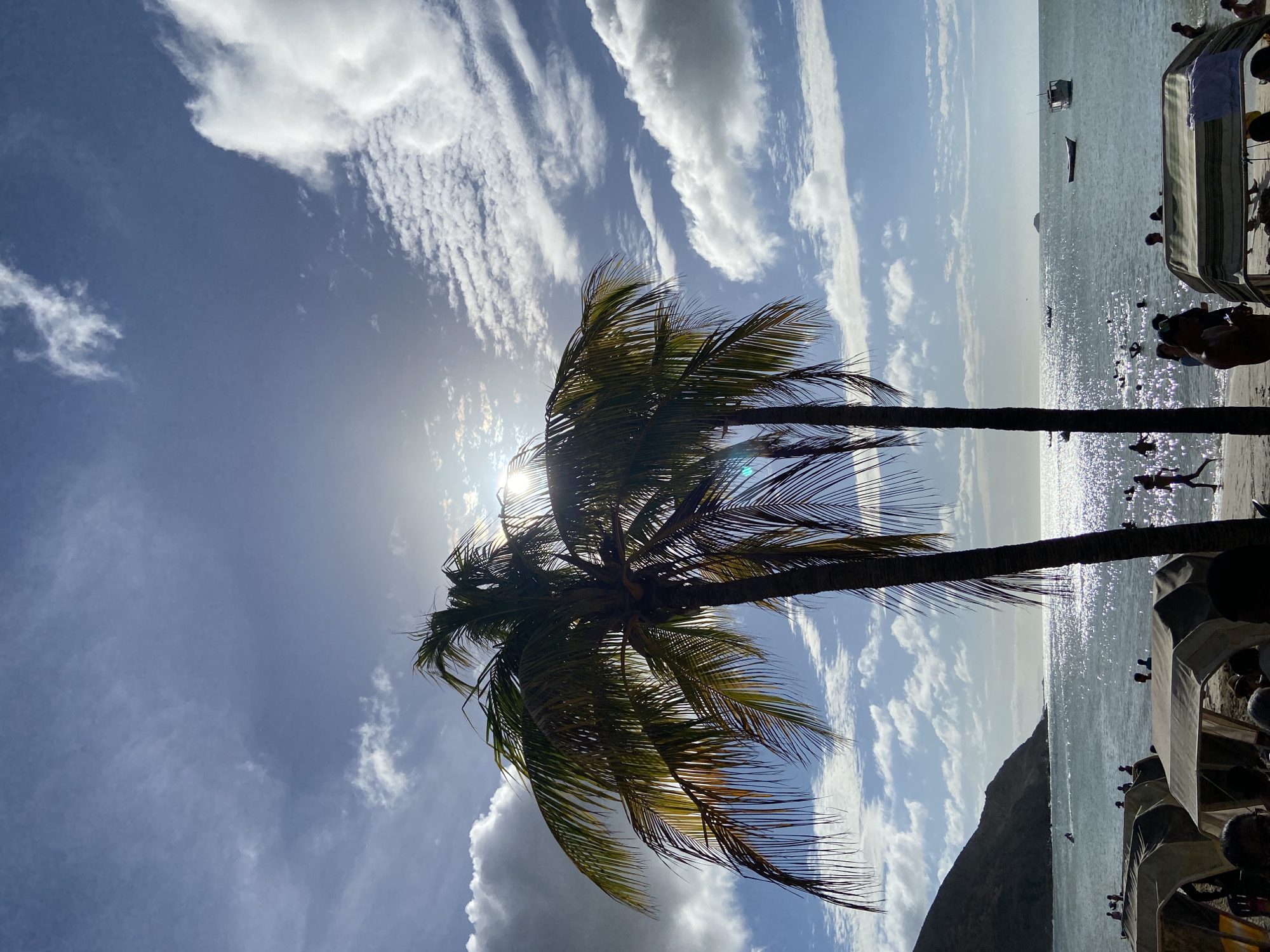 The image is an upward-tilted outdoor shot taken in Pedro González, Venezuela, featuring a beach scene. Two palm trees are centrally positioned, partially obscuring the sun. Their fronds sway in the wind. Above the trees, the sky is partly cloudy with a mix of scattered white clouds and streaky formations. Below the trees, a sandy beach slopes towards the water, reflecting sunlight. People are seen swimming or wading in the water. A variety of boats are further off shore. Beach umbrellas are on the shore, and people are gathered around them. A hill or small mountain is on the right side of the frame, next to the shoreline.