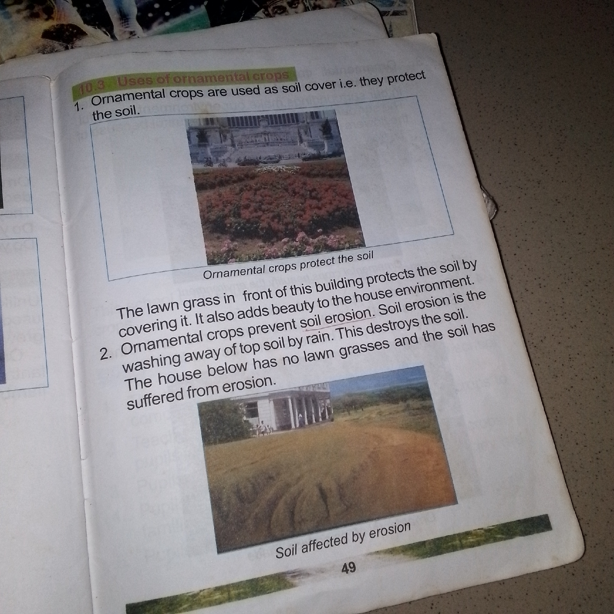The image shows an open book with text and photographs. The text discusses the uses of ornamental crops, specifically their role in protecting soil. A section labeled "10.3 Uses of ornamental crops" states that ornamental crops are used as soil cover to protect the soil. There is a photograph accompanying this section, showing a building with manicured flower beds in front of it, likely in an urban or suburban setting. Further text discusses how lawn grass protects the soil and adds beauty. It then describes ornamental crops preventing soil erosion and how the absence of lawn grasses can lead to soil erosion, which is detrimental to the environment. A second photograph shows a landscape with a house and a field that appears to be affected by erosion, with visible gullies or uneven ground. The text below this photograph reads "Soil affected by erosion". A page number "49" is visible at the bottom of the page. The overall context suggests an educational material about agriculture or environmental science. There is no information in the image to suggest the location is in Jalingo, Nigeria.