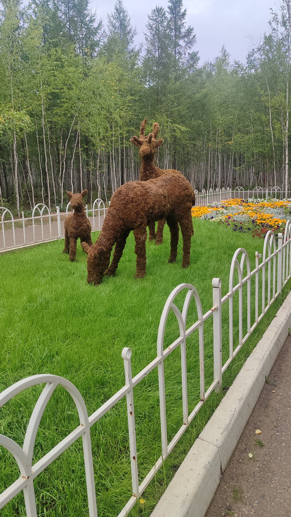 In Mirny, Russia, a park features topiaries of three deer in varying sizes on a lush green lawn, set against a backdrop of tall, slender trees. The largest deer, with its head bowed as if grazing, is positioned in the center of the frame. A smaller deer stands to its left, while another deer, only partially visible, is behind it. A white, ornamental fence encloses the lawn, and beyond it, a vibrant flower bed bursts with yellow, orange, and purple blooms. The sky above is overcast, contributing to the soft, diffused light of the scene.