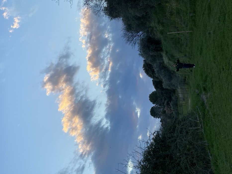 This image depicts an outdoor landscape scene in Cucuron, France, captured during a low-light period, indicative of either dawn or dusk. The upper half of the frame is dominated by a sky displaying patches of light blue amidst extensive dark blue-gray cloud cover. Several prominent cloud formations are illuminated with a distinct golden-orange hue, suggesting indirect sunlight from a low angle.
The lower half of the image features an uneven, green grassy terrain with a narrow, unpaved dirt path. This path originates from the lower-left corner and recedes diagonally towards the center-right midground. A single human subject is positioned in the midground, standing on the grass near the path, facing the camera. This individual is dressed in dark clothing, consisting of a long-sleeved top and trousers. Their arms are extended horizontally outwards from their torso, with forearms slightly raised and hands clenched into fists.
A rudimentary fence, constructed from vertical wooden posts and horizontal strands of wire or rope, traverses the midground. It extends from the lower-right side of the frame towards the distant center, positioned between the viewer and the individual. To the immediate left, a dense mass of dark green bushes and shrubs occupies the foreground and midground, intermingled with some bare, dark tree branches. The right side of the scene features a moderately steep, vegetated slope covered in a variety of dark green trees and shrubs, some of which display small white floral elements. Additional trees are visible in the far background, silhouetted against the sky.