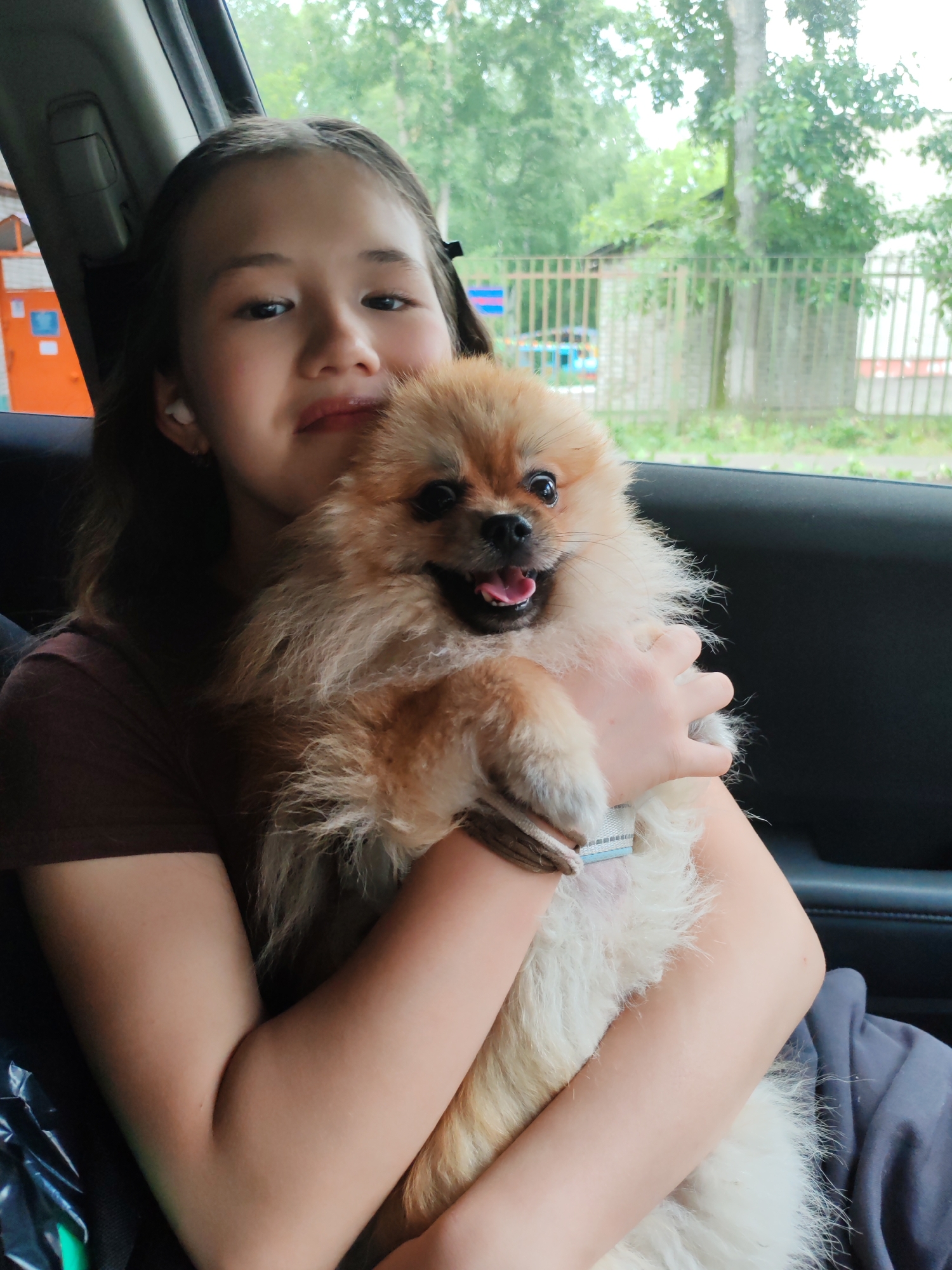 A young girl with dark hair is holding a fluffy Pomeranian dog in her arms. She is sitting in the passenger seat of a car, with the door and window visible. The girl is wearing a brown t-shirt. The dog is light brown and white, with its tongue hanging out. Outside the car window, trees and a fence are visible. The image appears to have been taken in an outdoor setting, possibly in the city of Komsomolsk-on-Amur, Russia, given the context.