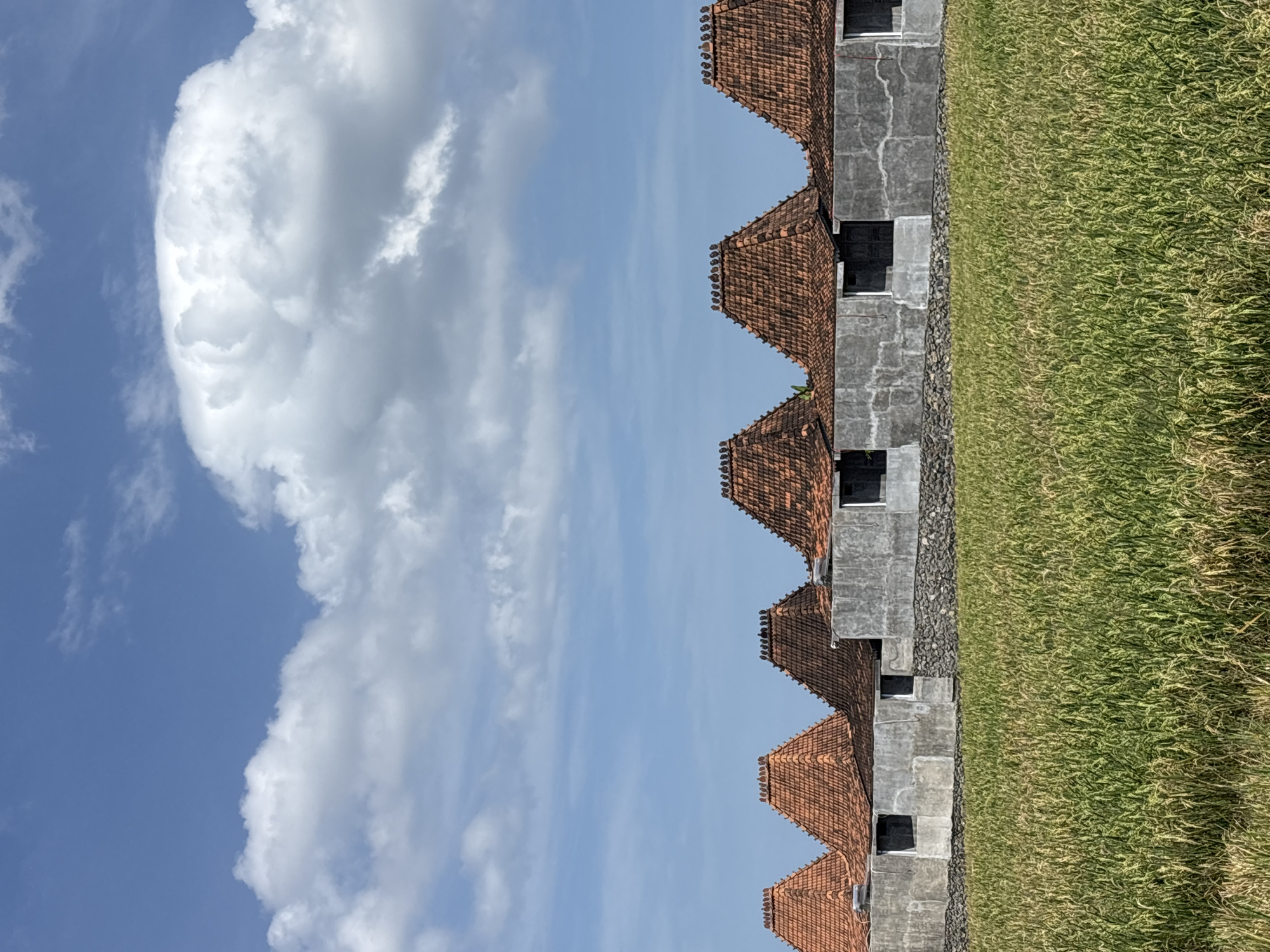 The image shows a row of buildings with terracotta tiled roofs in Kerambitan, Indonesia. The buildings appear to be under construction, with bare concrete walls and window openings. A field of green rice stalks grows to the right of the buildings. Above the buildings is a blue sky with scattered white clouds. The image is oriented vertically, with the buildings and rice field appearing to run horizontally across the frame.