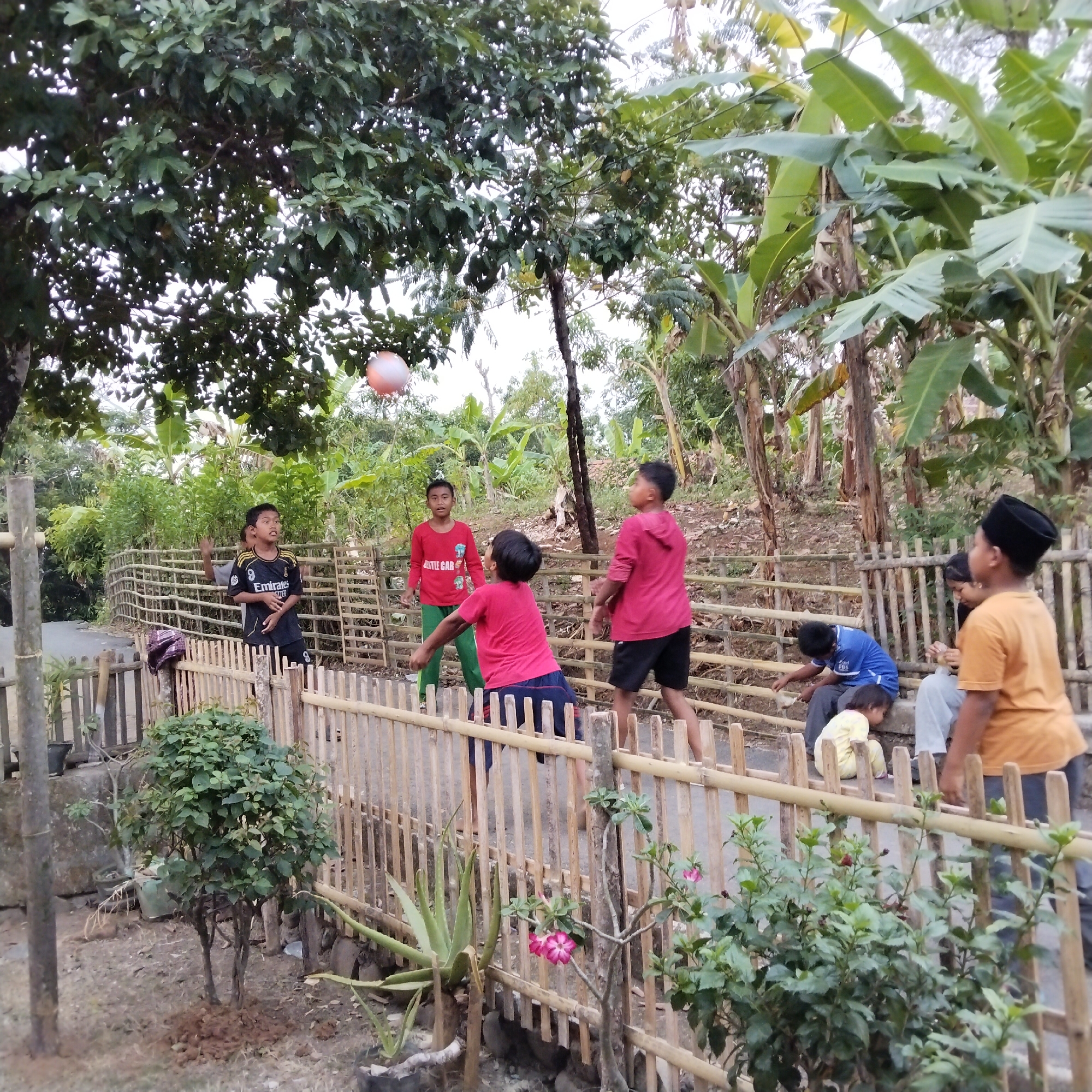 This image depicts an outdoor scene in Karangbaru, Indonesia, where a group of children are playing with a ball. Several boys, appearing to be between the ages of 7 and 13, are engaged in a game, possibly volleyball, given the ball's trajectory and their stances. One boy in the foreground wears a black jersey with the "Emirates" logo. Other boys are dressed in red t-shirts and shorts, and green pants. A younger child in a yellow outfit is sitting near an older individual. The environment is characterized by lush vegetation, including banana trees and other tropical plants, suggesting a rural or semi-rural setting within Karangbaru. A bamboo fence runs horizontally across the middle ground, dividing the playing area from the background. The ground appears to be a dirt path. The lighting suggests it is daytime, likely late afternoon given the soft shadows.