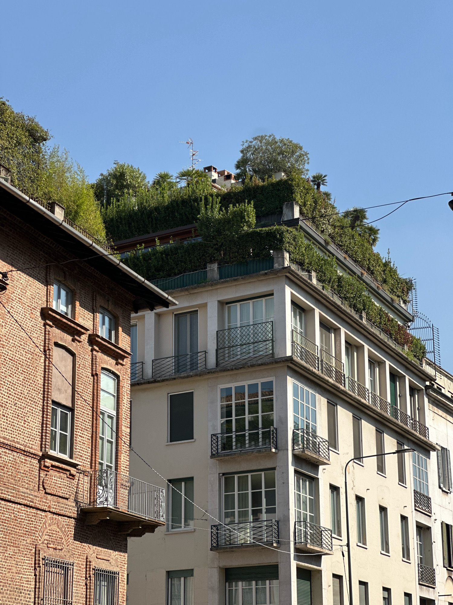 The image depicts a street view in Milan, Italy, under a clear blue sky. The foreground features a building with a reddish-brown brick facade, characterized by arched window openings and a projecting balcony with ornate metalwork. To the right, a modern, light-colored building rises, distinguished by multiple levels of large windows and balconies. The uppermost levels of this building are adorned with a dense, verdant rooftop garden, featuring a variety of trees and shrubs, creating a striking contrast with the urban architecture. The overall scene suggests a well-maintained urban environment, possibly a residential area, with elements of both historical and contemporary design.