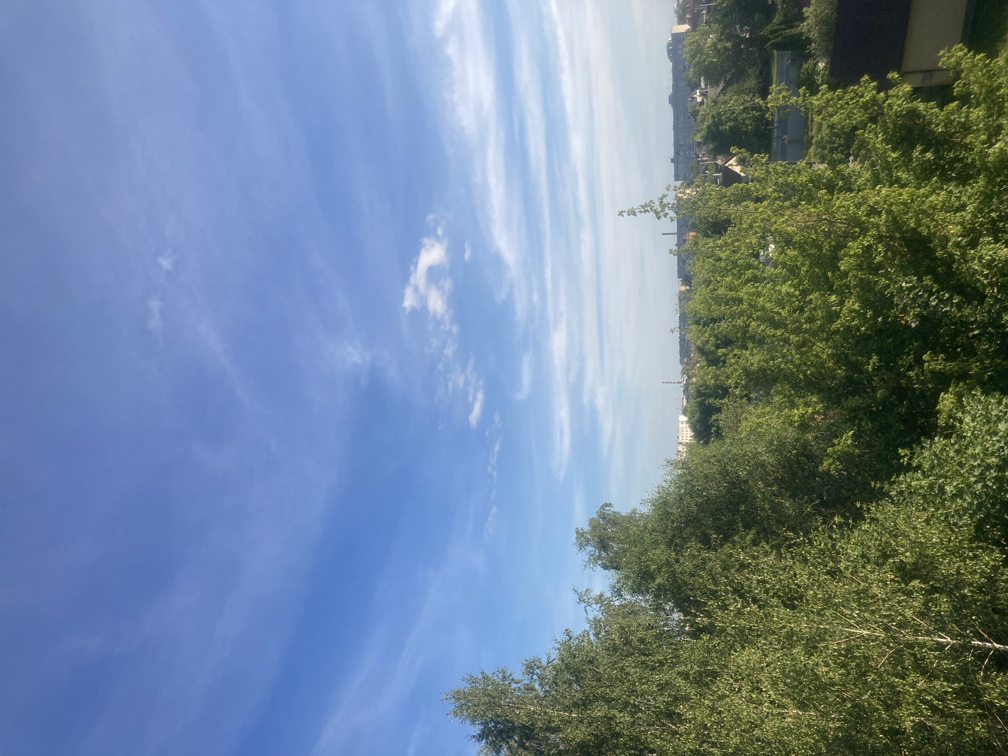 The image depicts an outdoor scene with a clear blue sky and a few wispy clouds. In the foreground, lush green trees, including birches with white trunks, dominate the left side of the frame. Beyond the trees, a cityscape is visible, with low-rise buildings and industrial structures in the distance. The overall impression is of a sunny day in a moderately developed urban or suburban area with significant greenery.