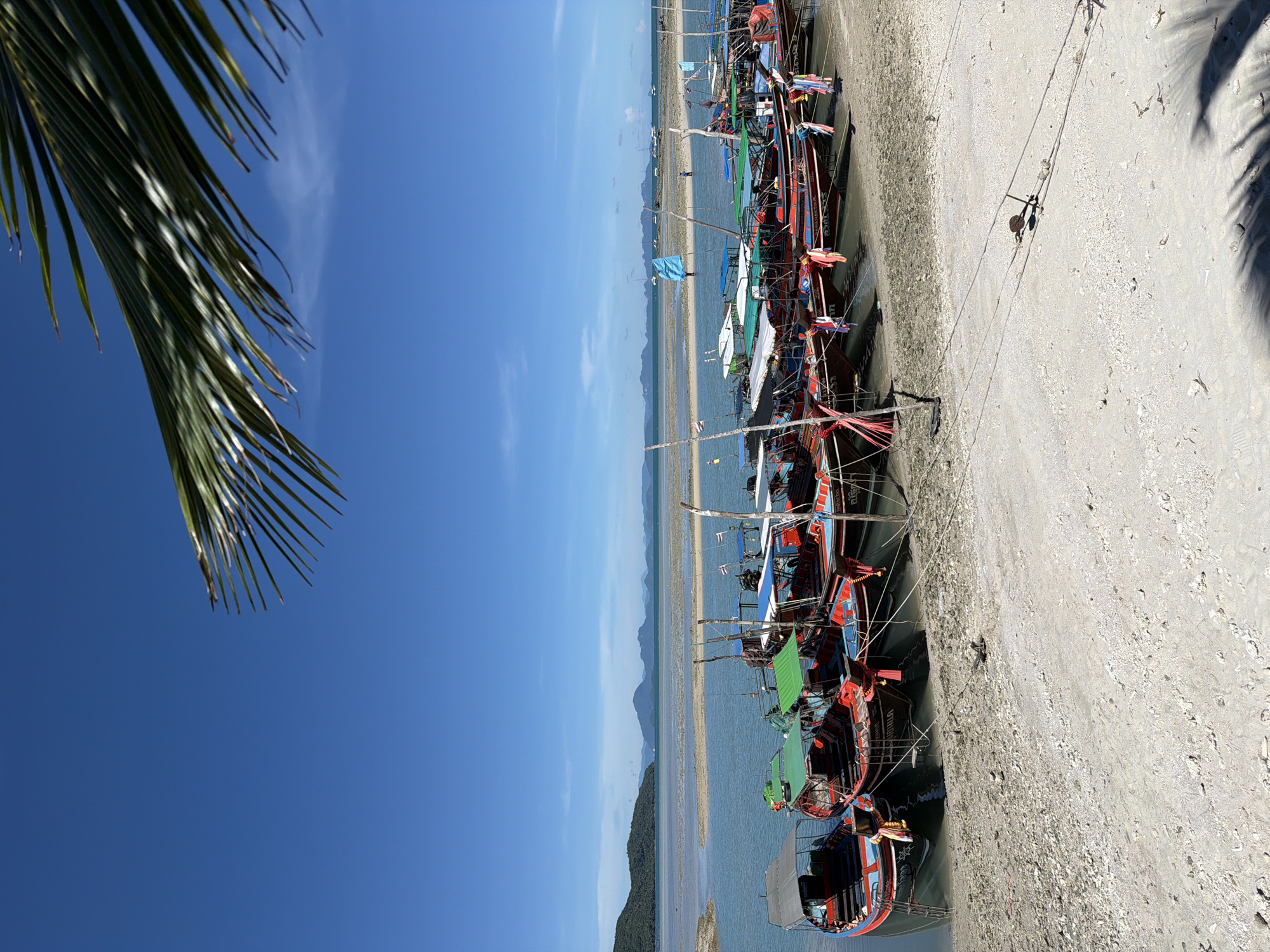 The image depicts a vibrant scene at Baan Thong Krut, Thailand. A line of colorful fishing boats, predominantly red and blue with accents of green and yellow, are docked on a sandy beach. The boats are of a traditional Thai longtail design, evident from their slender hulls and the distinctive propeller shafts extending from the stern. Some boats are adorned with small flags, adding to the lively atmosphere.
The setting is a coastal area, with calm, shallow turquoise water lapping at the shore. In the background, a sandy bar stretches out into the sea, separating the shallow water from a larger body of water where a few more boats are visible in the distance. Further back, rolling green hills and mountains form a picturesque backdrop under a clear blue sky. A single white cloud drifts lazily across the sky.
In the foreground, the fronds of a palm tree hang down from the top left, casting dappled shadows on the sand and the boats. The sand itself is light-colored and appears somewhat coarse, with scattered debris and a few small rocks. Power lines run along the beach, secured by wooden posts, and a single, dark-colored anchor or weight is visible on the sand, attached to one of the lines. The lighting suggests it is daytime, with bright sunlight casting distinct shadows. No people are clearly visible in the frame, but the presence of the boats implies activity related to fishing or transport.
Some of the boats have Thai script visible on their sides. For example, one boat clearly reads "Ruanthong". The overall impression is one of a tranquil, sun-drenched day in a coastal Thai village, showcasing the local maritime culture.