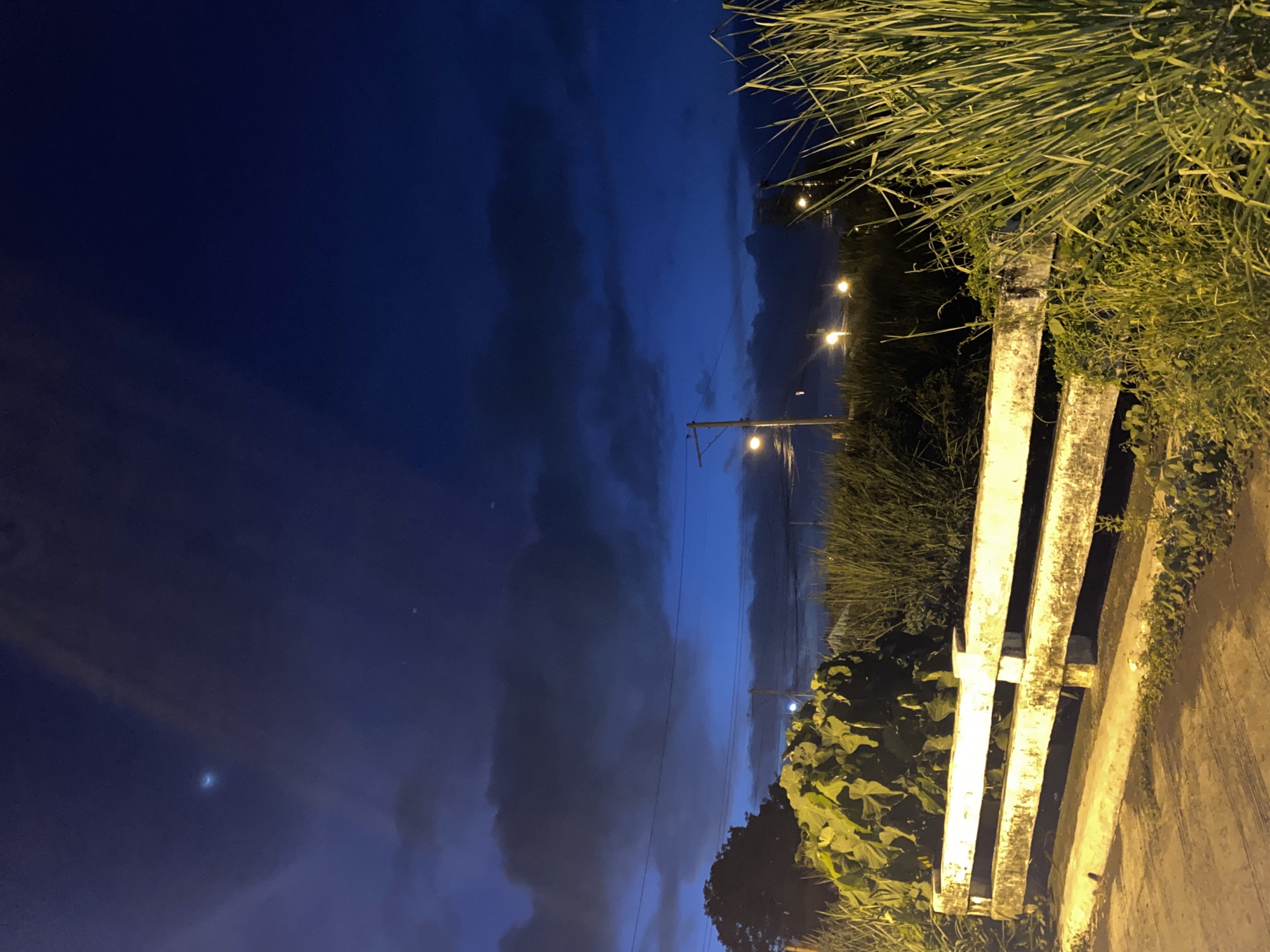 The image depicts a scene at dusk or night, likely on a rural road or outskirts of a city. The sky is a deep blue, with dark, heavy clouds that suggest a recent or impending rain. A faint crescent shape, possibly a very thin moon or a cloud formation catching light, is visible in the upper left quadrant of the sky. Several streetlights are illuminated, casting a yellowish glow on the surroundings.
In the foreground, a low, light-colored concrete barrier, possibly part of a bridge or embankment, runs horizontally across the frame. It is weathered and shows signs of moss or dirt accumulation. Lush green vegetation, including tall grasses and a large, leafy plant, grows around and over the barrier. A paved surface, likely a road or pathway, is visible in the lower left, appearing slightly damp. In the mid-ground, utility poles with visible wires stretch across the scene, accompanied by more vegetation. The overall impression is one of a slightly overgrown and utilitarian area, illuminated by artificial light against the fading daylight and dark clouds. No people are visible in the image. The location is stated to be Davao City, Philippines.