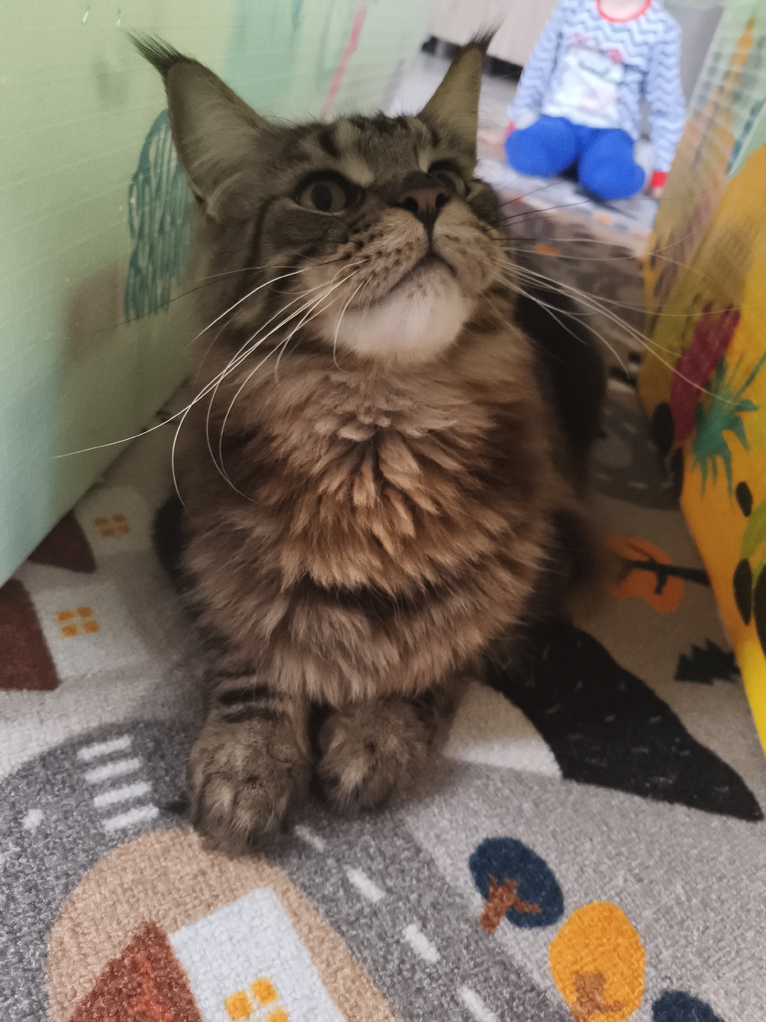 A medium shot captures a furry, brown tabby cat with distinctive tufted ears, situated on a patterned rug with street and building motifs. The cat looks upward, its long white whiskers prominent against its fluffy chest. In the background, partially obscured, is a child dressed in blue pants and a long-sleeved shirt with a zigzag pattern. The rug lies between a light green panel and a yellow object with a patterned surface. The location is Русский Вожой, Russia.