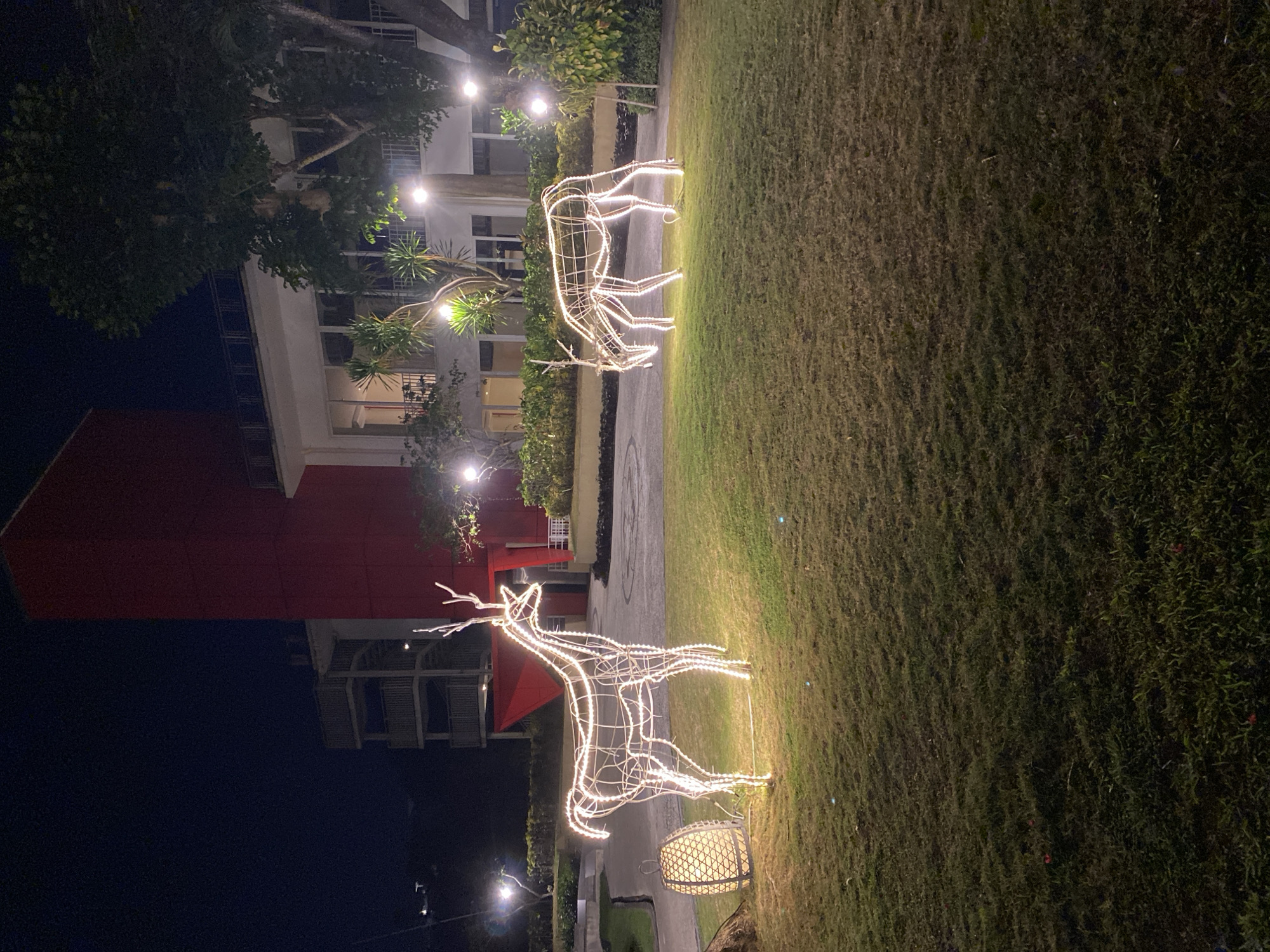 In Kuta Selatan, Indonesia, at night, a well-lit grassy area features two illuminated wireframe reindeer decorations. The larger reindeer stands upright on the left, while a smaller one grazes to its right. A woven lantern-like decoration is also visible next to the larger reindeer. In the background, a modern building with a striking red facade and white sections is illuminated by outdoor lights. Trees and other greenery dot the landscape, contributing to the outdoor ambiance of the scene.