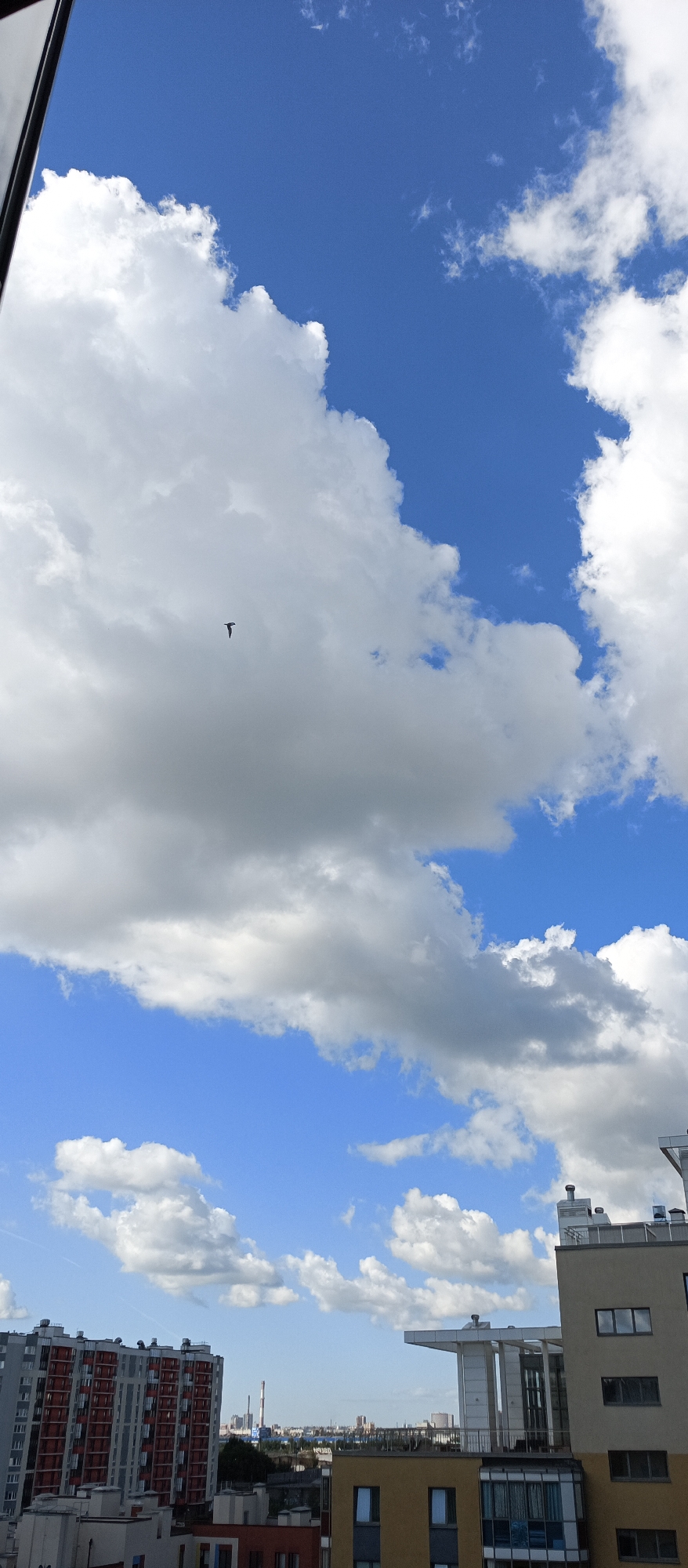 A high-angle, vertical shot captures a bird in flight against a bright blue sky filled with fluffy white and gray clouds. In the background, a cityscape is visible, featuring several apartment buildings and industrial structures, including tall smokestacks. The buildings exhibit a variety of architectural styles and colors, with some appearing modern and others older. The overall scene suggests an urban environment on a clear day with some cloud cover.
