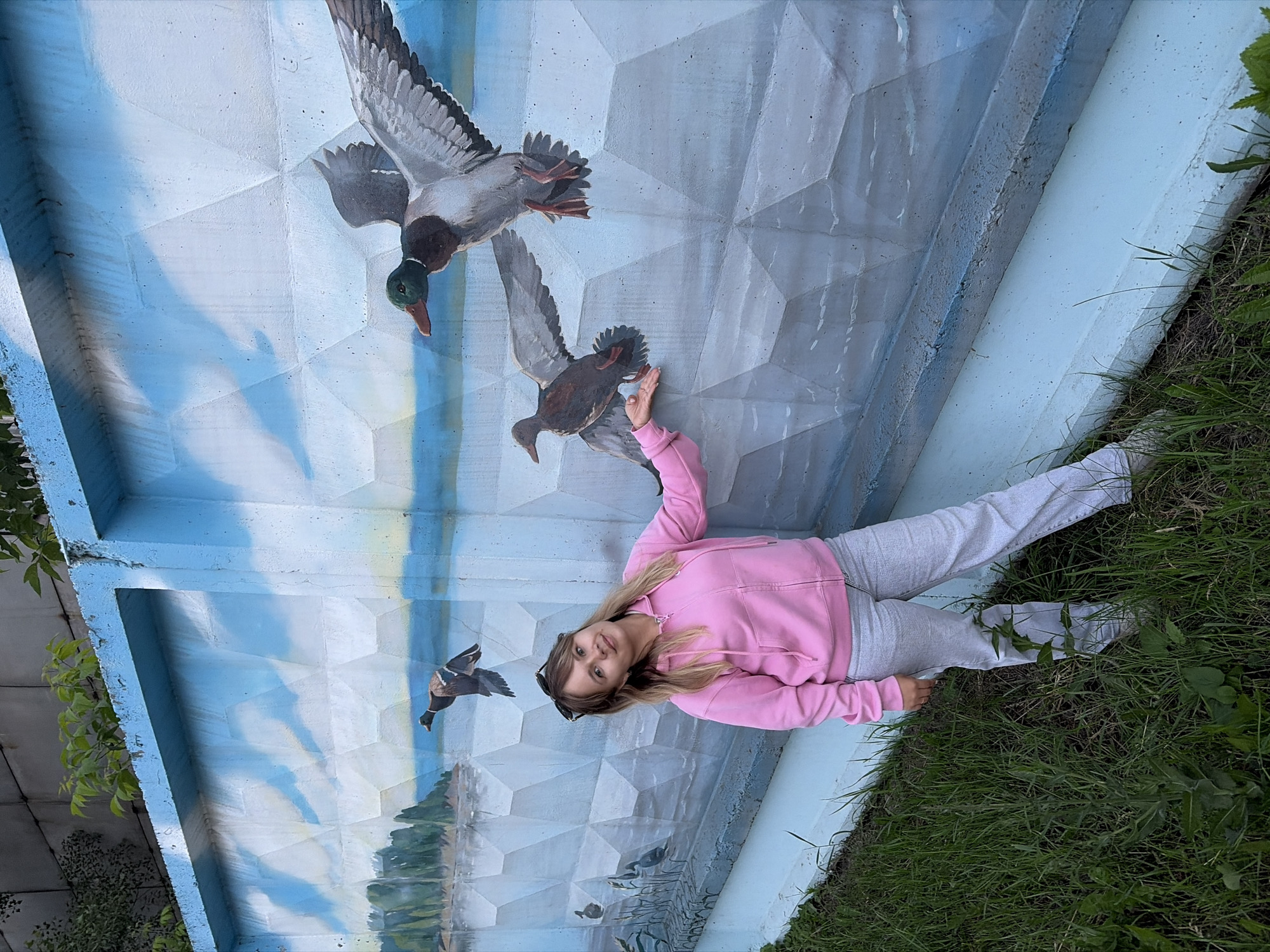 A woman with blonde hair, wearing a pink zip-up hoodie and light grey pants, stands in front of a concrete fence adorned with a mural of ducks flying over water with a distant shoreline. She is looking towards the camera with a slight smile, her left hand extended as if touching the mural. The mural depicts a sky with clouds and water, with several ducks in various poses, some flying and others on the water. The fence is painted with a blue top edge and a light blue base. Green grass and some plants are visible in the foreground, growing at the base of the fence. The background shows a grey concrete structure above the mural. The scene appears to be outdoors, possibly in a public area or park, and given the context, the mural is located on a fence in the city of Chaikovsky, Russia.