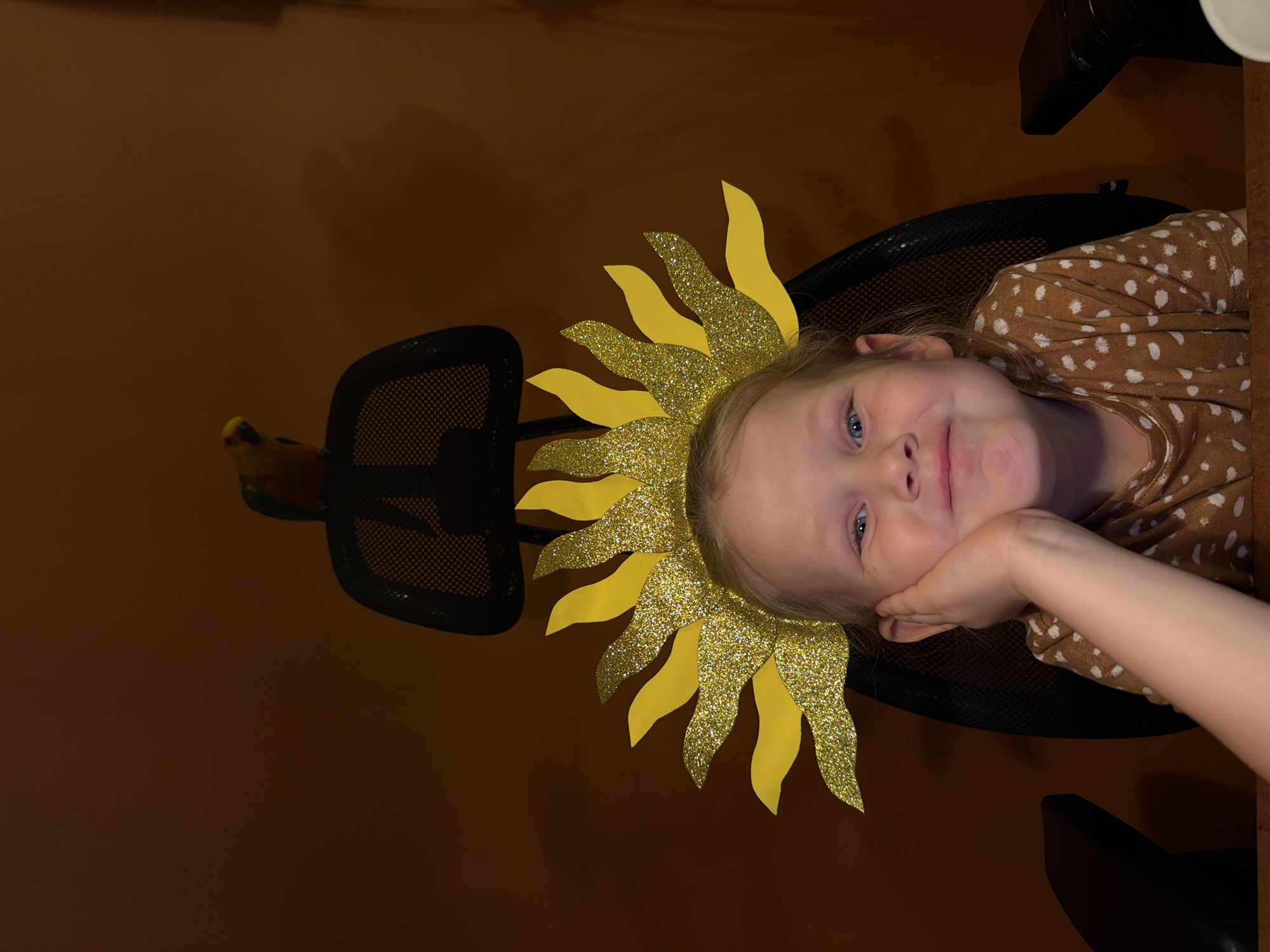 A portrait-style photograph, currently oriented on its side, features a young child, likely a girl, smiling gently while resting her chin on her left hand. She has fair skin, light blonde hair, and striking blue eyes. The child is dressed in a long-sleeved brown shirt adorned with small white polka dots.
A prominent and festive element is the elaborate sunflower-themed headpiece worn by the child. It consists of a combination of bright yellow paper petals and sparkling gold glitter petals, creating a cheerful and celebratory look. The child is seated in a black office chair, the mesh backrest of which is partially visible behind her.
In the left background, a small bird, possibly a parrot or parakeet, with visible yellow and orange plumage, is perched on the armrest or backrest of another black chair. The overall setting is indoors, against a plain, warm brown wall, suggesting a comfortable home environment. The soft, indirect lighting contributes to a cozy atmosphere. The child's expression conveys happiness and contentment, indicating she is either posing for the camera or enjoying a moment of playful dress-up. No visible text is present in the image. The location context is Khimki, Russia.