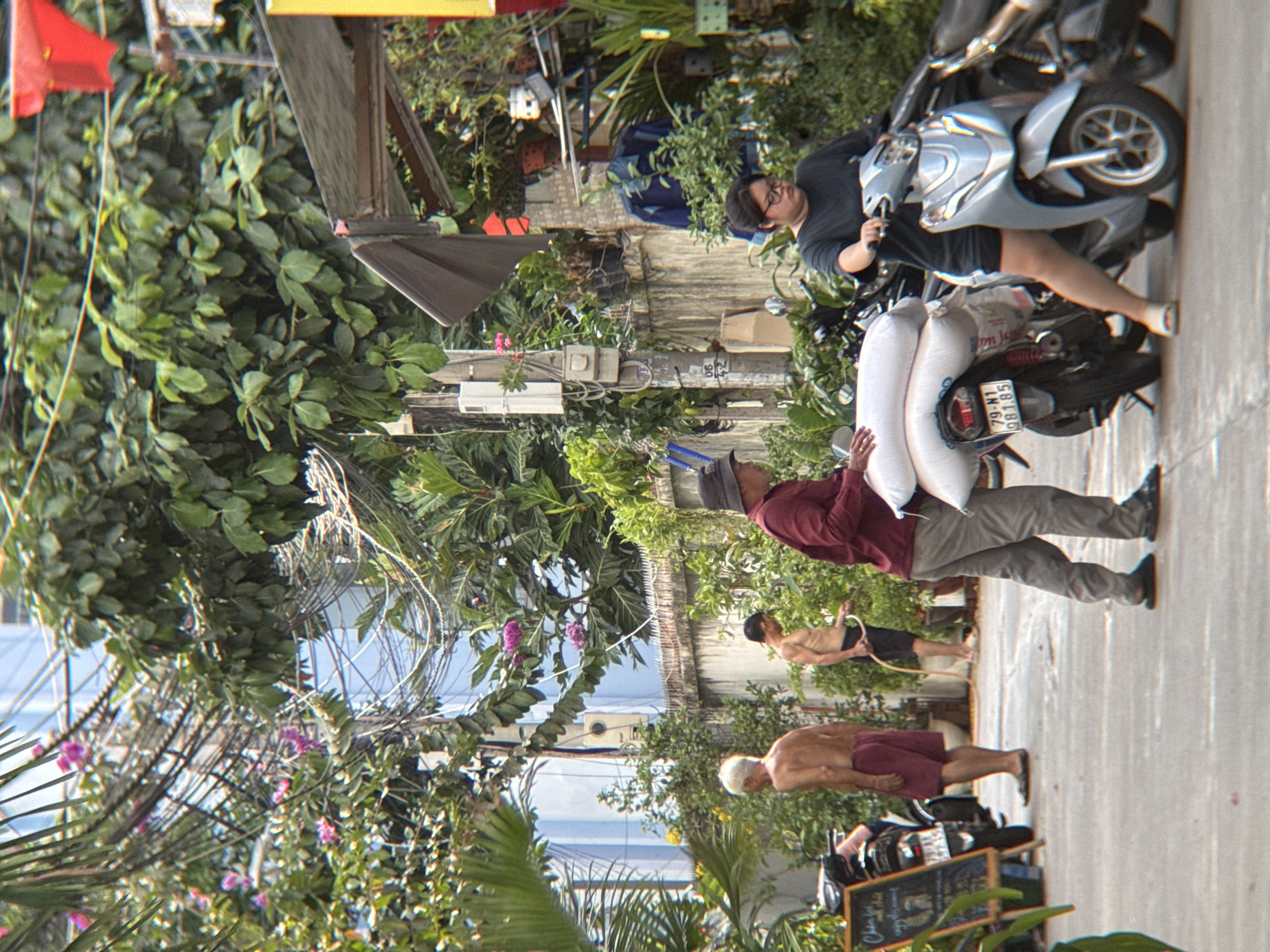 In a street scene in Nha Trang, Vietnam, two men and a woman are captured amidst lush foliage and overhead electrical wires. To the left, a shirtless man with grey hair stands wearing maroon shorts. Adjacent to him, a shirtless man with dark hair is holding a hose. Further to the right, a man in a maroon shirt and grey pants carries two large white sacks. In the foreground, a woman wearing glasses and a dark t-shirt is seated on a silver scooter. Another scooter is parked to her left, displaying a license plate that reads "79-N1 981.85." The background features a textured wall and a building with blue accents.
