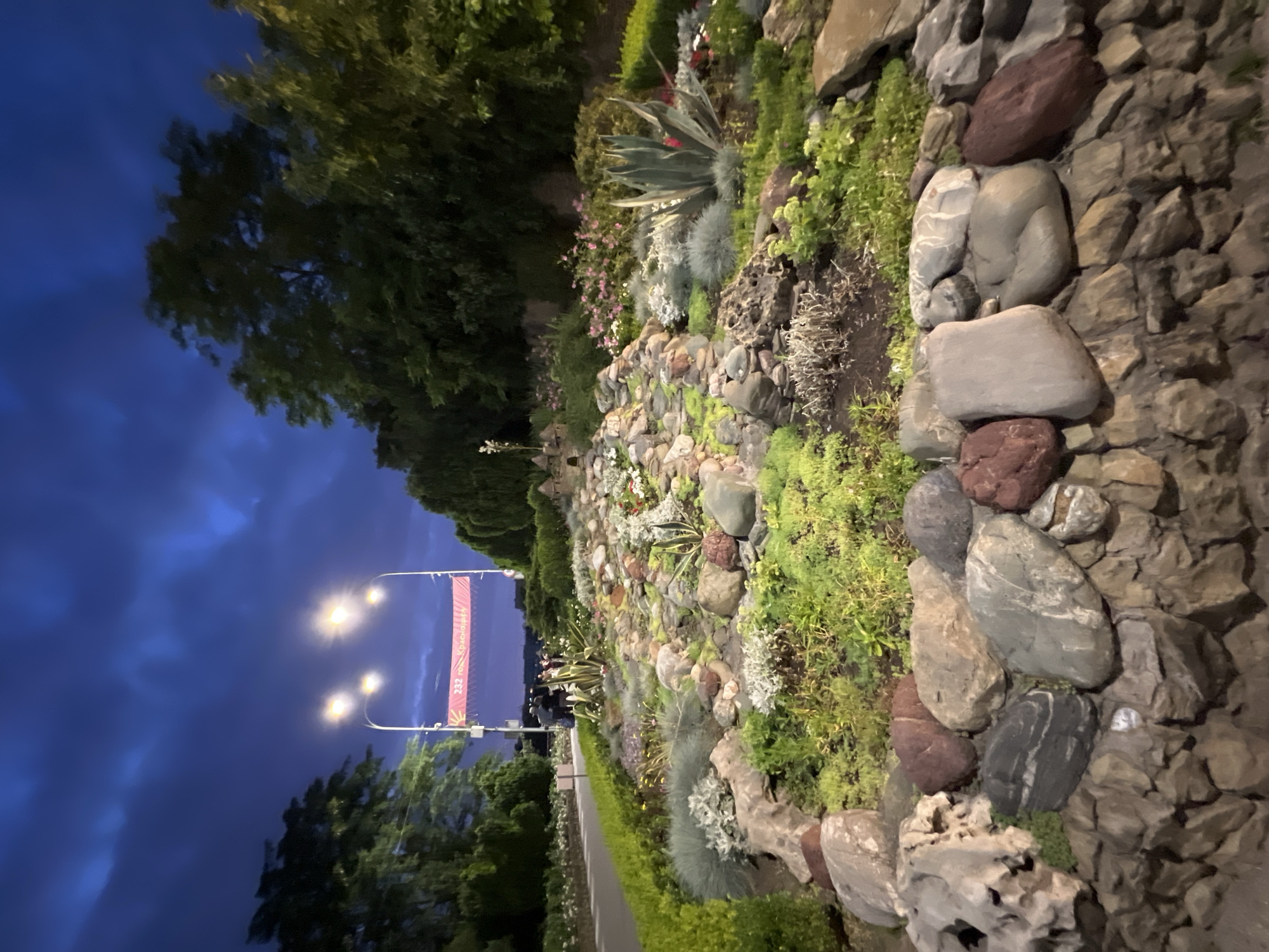This is a nighttime exterior photograph of a rock garden with lush vegetation in Krasnodar, Russia. The garden features a variety of plants, including succulents and flowering bushes, interspersed with numerous stones of different sizes and textures. The foreground is dominated by a low stone wall and a collection of large, rounded rocks. In the background, streetlights illuminate a banner that reads "232 года Краснодару" (232 years of Krasnodar). Several street lamps are visible above the banner, and people can be seen gathered near them. The sky is a deep blue with dramatic cloud formations, indicating twilight or early night. The overall scene suggests an urban park or a landscaped public area.