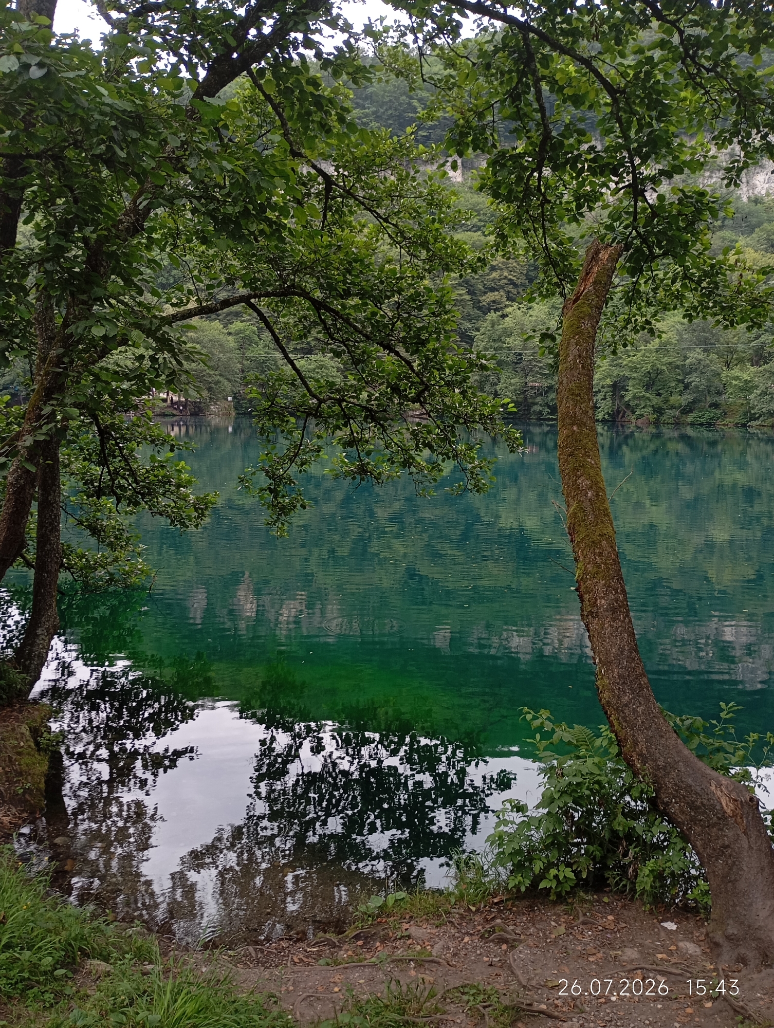 The image shows a serene natural landscape, likely a lake or deep pool of water, characterized by its vibrant turquoise-green hue. The water is calm, with gentle ripples and clear reflections of the surrounding trees and sky. Lush green foliage, including overhanging branches and dense trees, frames the scene. On the left side, two tree trunks stand close together, their leaves casting shadows on the water's edge. To the right, a single, moss-covered tree trunk leans diagonally, its rough bark visible. The background consists of a dense forest that climbs up a gentle slope, with a faint suggestion of rocky cliffs or a hillside. The ground in the foreground is a mix of earth, gravel, and scattered roots, with patches of green grass. The overall impression is one of tranquility and untouched nature. The timestamp "26.07.2026 15:43" is visible in the bottom right corner, indicating the date and time the photograph was taken. This scene is located in the city of Tyrnyauz, Russia.