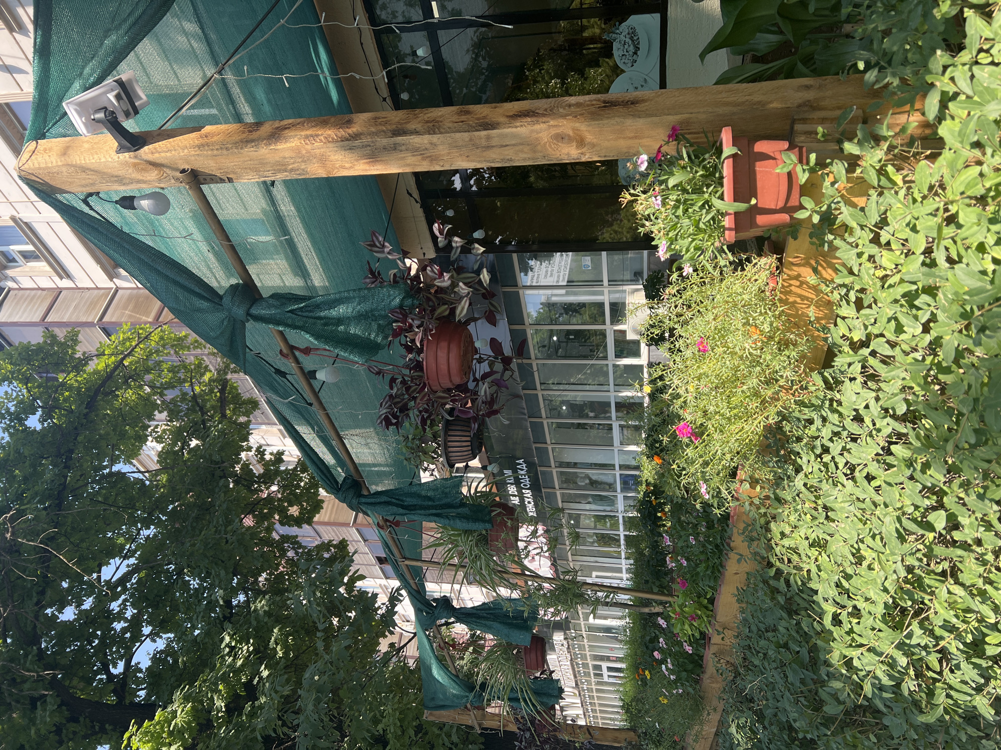 The image depicts the facade of a storefront in the city of Shymkent, Kazakhstan, during daylight. The store appears to specialize in women's clothing, as indicated by the Cyrillic text on the building's windows: "АЛДЫН КЫЗЫ ЖЕНСКАЯ ОДЕЖДА" (Aldyn Kyzy Women's Clothing).
A green mesh awning is suspended above the storefront, supported by wooden posts. Hanging plants in brown pots are attached to the awning structure, adding greenery to the scene. Below the awning, a row of potted plants and flowers is arranged along a wooden planter box, contributing to the welcoming ambiance of the establishment. Lush green bushes and trees are visible in the foreground and to the left of the image, suggesting a well-maintained outdoor space. The building behind the storefront is multi-story and appears to be an apartment building or a commercial complex. The overall impression is one of a vibrant and attractive business in an urban setting.