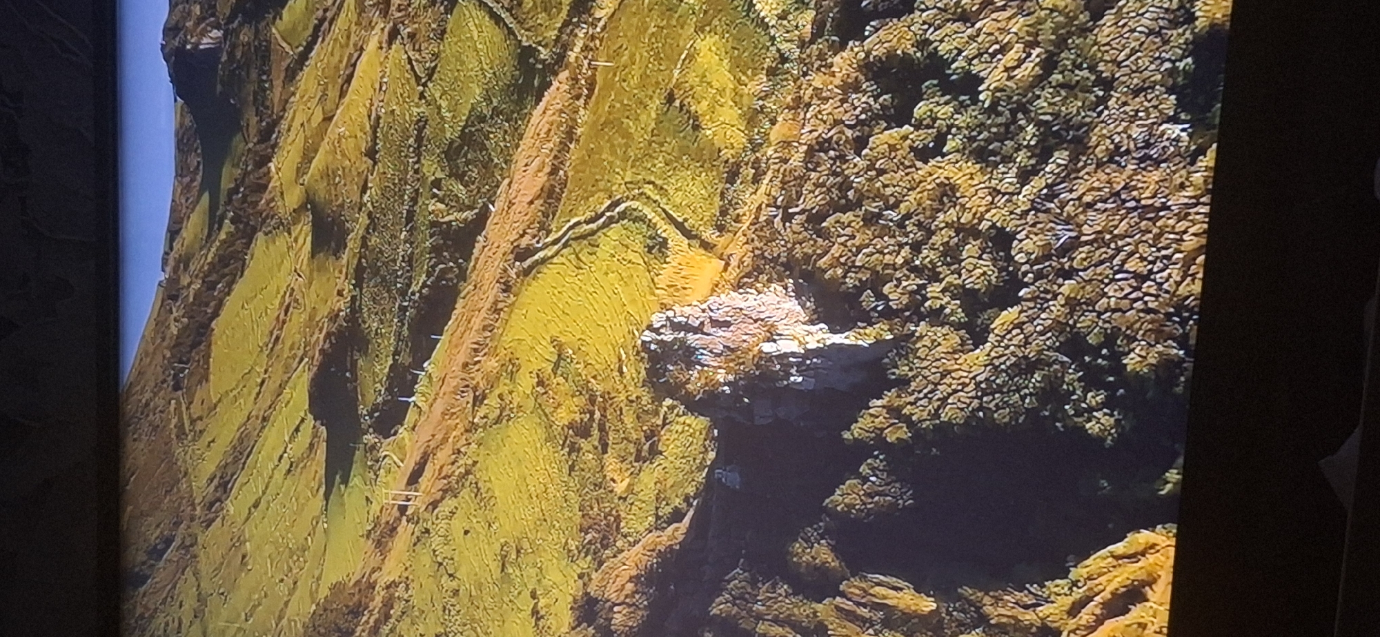 The image shows a drone-style view of a rugged, hilly landscape bathed in warm, golden sunlight, likely during the late afternoon or early morning. The terrain is characterized by rolling green hills, some of which are terraced or divided into fields by what appear to be stone walls or hedges. A prominent, rocky outcrop with a weathered appearance stands in the mid-ground, surrounded by a dense cluster of trees with autumnal foliage in shades of yellow and brown. A winding dirt path snakes across the landscape, disappearing into the shadows. In the background, the sky is a clear, bright blue, meeting the undulating hills. The overall impression is one of natural beauty and a remote, possibly rural, setting.
There is no identifiable information within the image that suggests a connection to the city of Bila Tserkva, Ukraine. The visual content is purely landscape-based.
