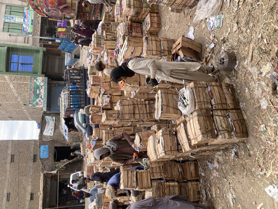 The image depicts an active, outdoor wholesale market scene in Quetta City Tehsil, Pakistan, characterized by numerous stacked wooden crates. The ground is unpaved, dusty, and littered with debris, including discarded paper, plastic, and wood fragments.
In the foreground and mid-ground, dozens of wooden crates, typically bound with metal strapping or rope, are stacked in varying heights, forming dense aisles. Many crates contain visible red produce, primarily appearing to be tomatoes or pomegranates.
Multiple individuals, predominantly adult males, are present. Most wear traditional South Asian attire, including Shalwar Kameez, often in neutral colors like beige, brown, and grey, with some wearing head coverings or scarves.
Specific actions observed:
* In the immediate foreground, a man in a light-colored Shalwar Kameez and dark head covering stands beside a crate stack, holding metal objects in a white bag and wearing dark gloves. A roll of brown strapping material lies on the ground near his feet.
* To his left, another man in a brown Shalwar Kameez and a grey scarf holds two red fruits over a crate.
* Other individuals are seen sorting, stacking, or inspecting the crates. One man in a blue shirt is bent over a crate on the left.
* In the background, figures move among vehicles and market stalls.
Vehicles present include:
* A blue pickup truck with an open cargo bed, appearing full, is positioned in the mid-ground.
* A light-colored sedan or small SUV is partially visible behind the crates.
* On the far right, a large, elaborately decorated truck with an ornate wooden superstructure, likely a local 'Jingle Truck,' is laden with goods, and several people are standing on or around it.
The market is flanked by multi-story, rough concrete or brick buildings. Some buildings feature ground-level shops or entrances, with visible signage in local script. One building has a prominent green-framed window. The sky is overcast and light grey.