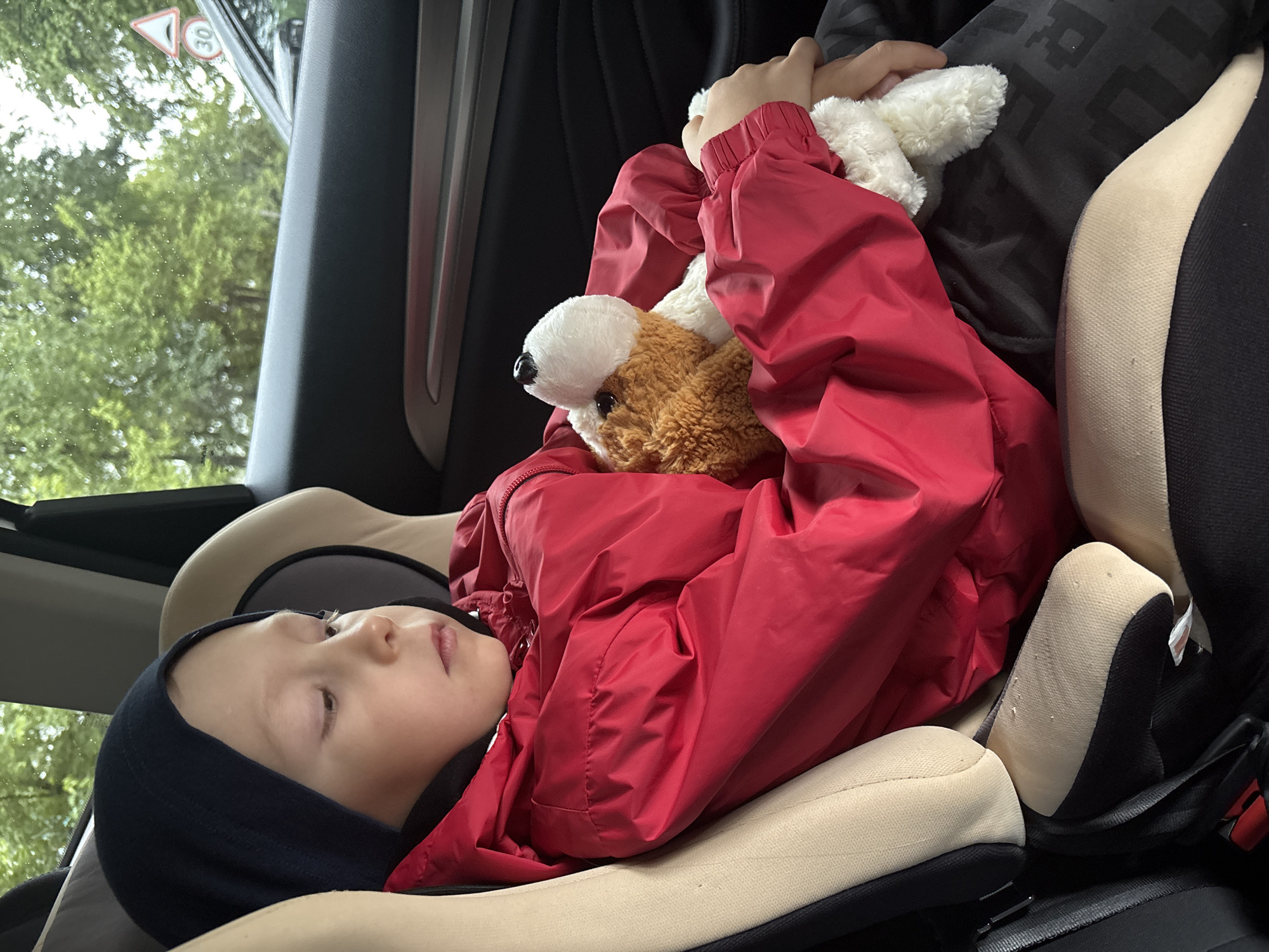 A young child rests peacefully in a car seat inside a vehicle, likely in Chaikovsky, Russia. The child, with fair skin and light-colored hair partially covered by a dark blue or black balaclava-style hood, wears a bright red jacket. Their eyes are open, gazing upwards and to the right, suggesting a relaxed or contemplative state. Cuddled in their arms is a small, brown and white stuffed dog with a black nose, which they hold close.
The car seat is upholstered in beige and black fabric. Beyond the car's window, lush green trees are visible, blurred, indicating the vehicle is in motion or parked alongside a green area. Through the upper left portion of the window, two distinct traffic signs can be seen: a red-bordered warning triangle and a circular speed limit sign indicating "30." The scene is illuminated by daylight, suggesting a bright day without harsh direct sunlight. The overall atmosphere is one of calm and quiet travel.