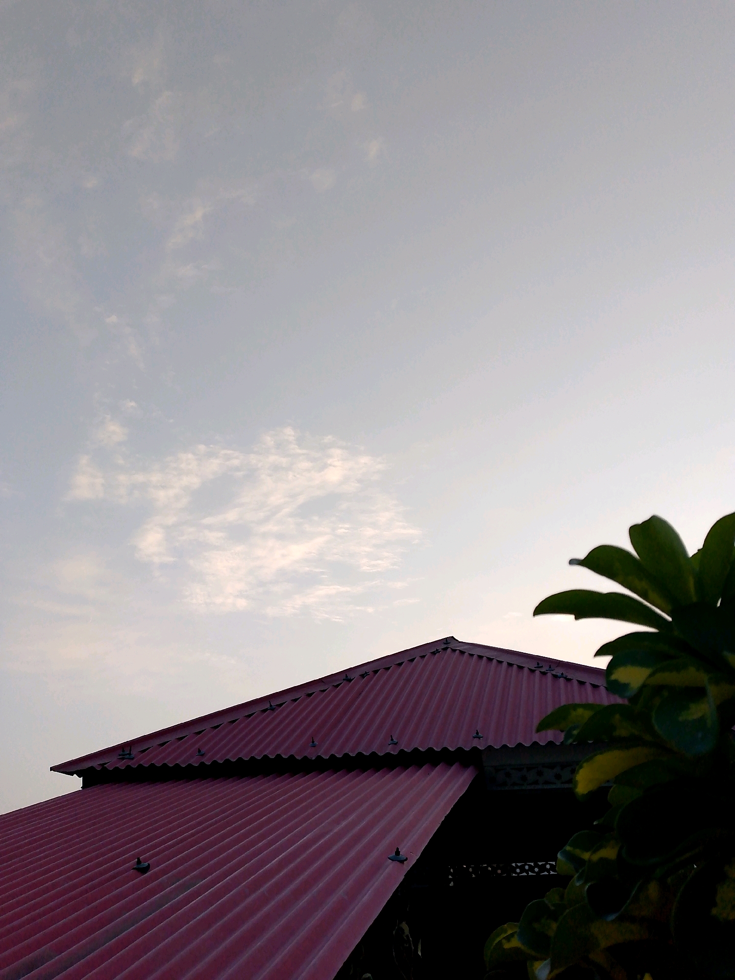 The image shows a close-up view of a dark red, corrugated metal roof of a building, set against a pale sky with wispy clouds. The roof has a prominent peak. To the right, the edge of a lush green plant with broad, variegated leaves is visible, partially obscuring the sky and roof. The scene appears to be taken outdoors, likely during the day or early evening, given the sky conditions. The location is identified as Dhamtour, Pakistan.