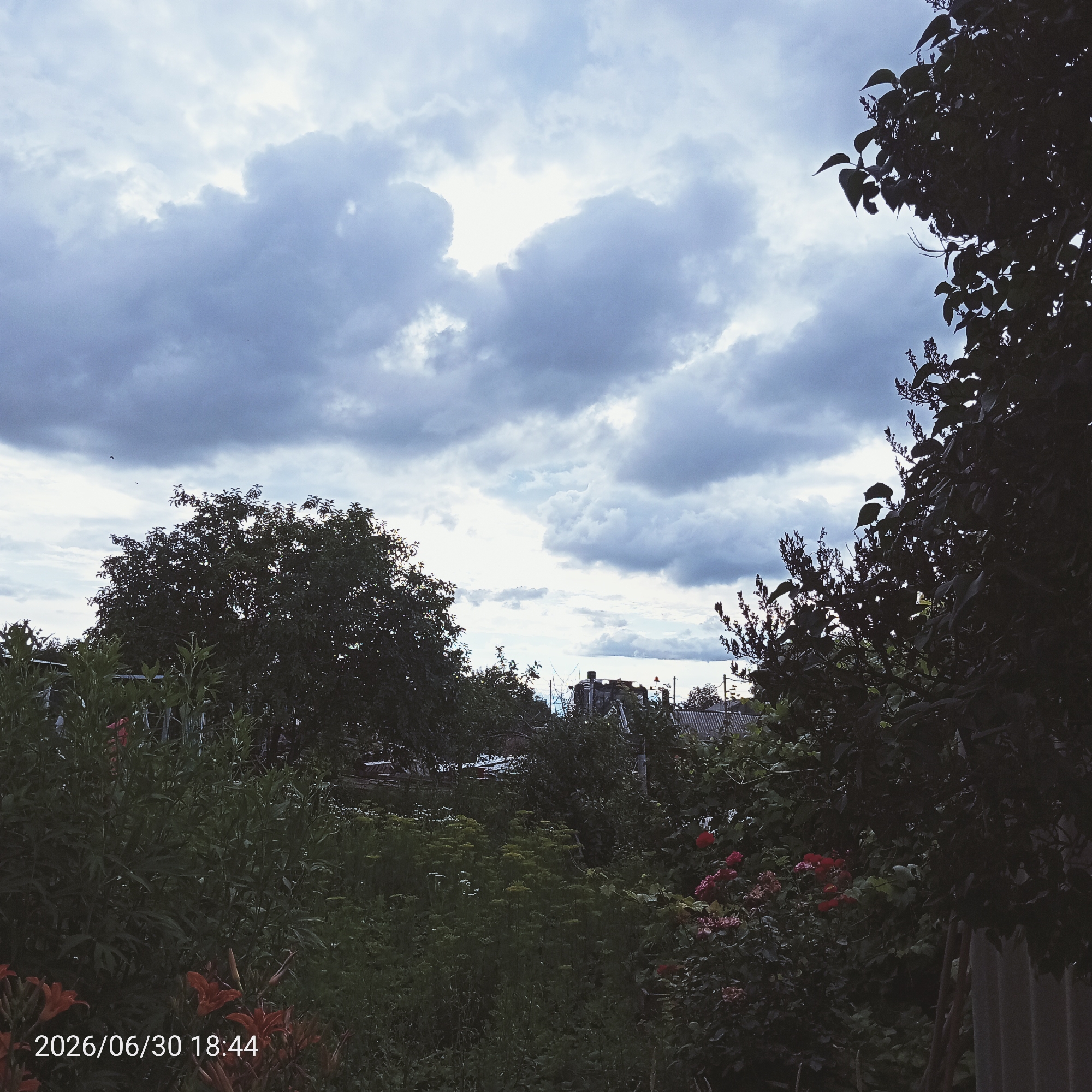 The image shows an outdoor scene with a focus on lush greenery and a dramatic sky. Tall trees with dense foliage frame the sides of the image, with the branches of a tree on the right silhouetted against the sky. In the foreground, various plants and flowers are visible, including orange lilies and pink roses, creating a vibrant contrast with the darker foliage.
The sky is filled with a mix of dark, heavy clouds and lighter, brighter patches, suggesting an overcast or approaching storm. A small section of sunlight is breaking through the clouds in the upper center of the frame. In the background, the rooftops of buildings and some structures like a water tank are visible peeking through the trees, hinting at a residential or semi-rural setting.
The time of day is indicated by the text overlay at the bottom left of the image: "2026/06/30 18:44". This suggests it is late afternoon or early evening. No people are visible in the image. The overall mood is somewhat somber due to the heavy clouds, but the presence of blooming flowers adds a touch of natural beauty and life to the scene. The image captures a moment of nature's interplay between light, shadow, and vegetation under a dynamic sky.