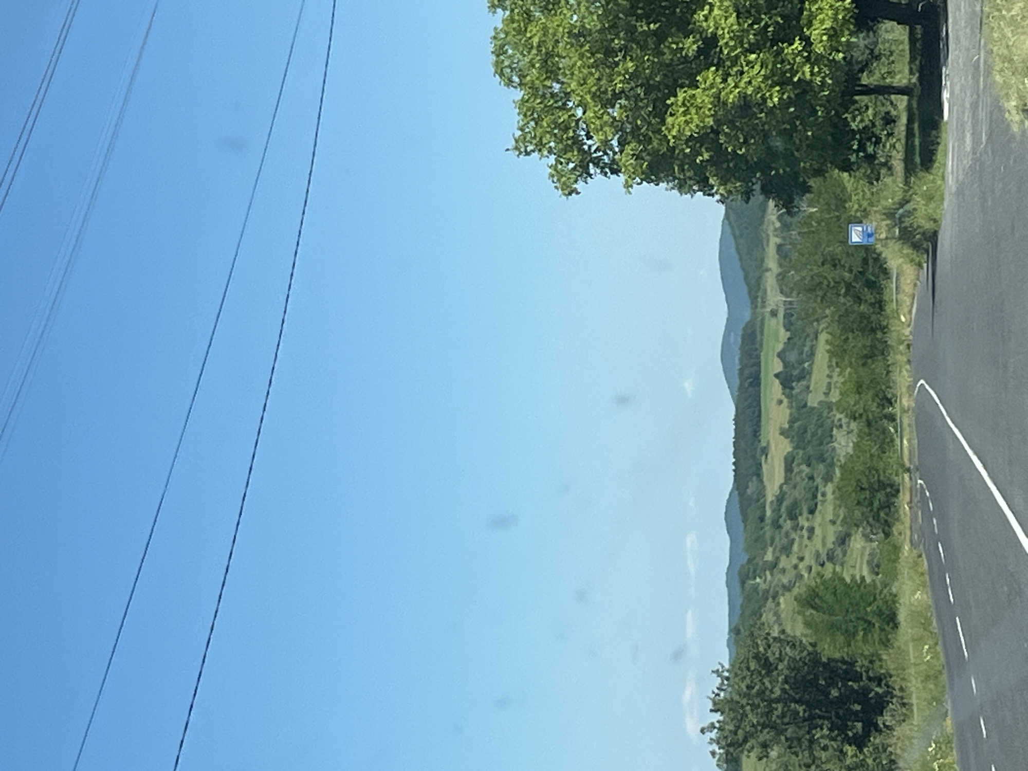 The image depicts a rural landscape under a clear blue sky. In the foreground, a paved road curves to the left, with white dashed lines marking the lanes. The road is flanked by green grass and foliage. To the right of the road, a large, leafy green tree stands prominently. Further into the background, rolling hills covered in green vegetation stretch across the horizon, dotted with more trees and some lighter green fields. Power lines are visible in the upper portion of the image, stretching across the sky. A small blue and white sign is visible on the right side of the road, near the base of the tree. There are no people or animals visible in the scene. The environment appears to be a natural, undeveloped area, possibly a countryside road.