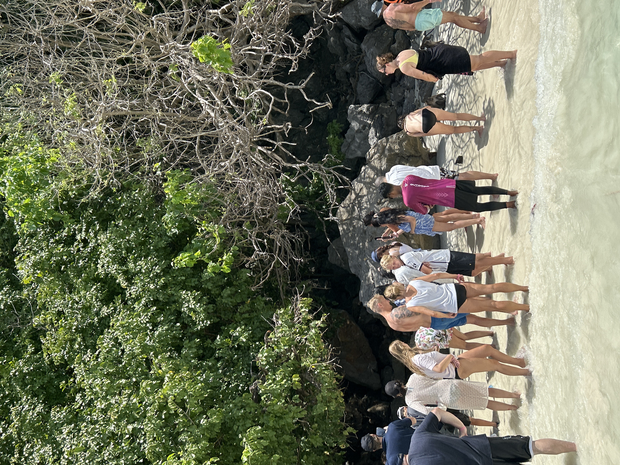In Ko, Thailand, a group of approximately 15 people are gathered on a sandy beach, with some wading in shallow, clear water. The beach is backed by large rocks and lush green trees, with a distinctive gnarled, leafless tree prominently featured. The people, dressed in casual beachwear, appear to be tourists, some holding phones and looking towards the water or the trees. The scene is brightly lit by the sun, suggesting it is daytime. There are no specific landmarks of Ko, Thailand, visible in the image, but the tropical vegetation and beach setting are indicative of the region.