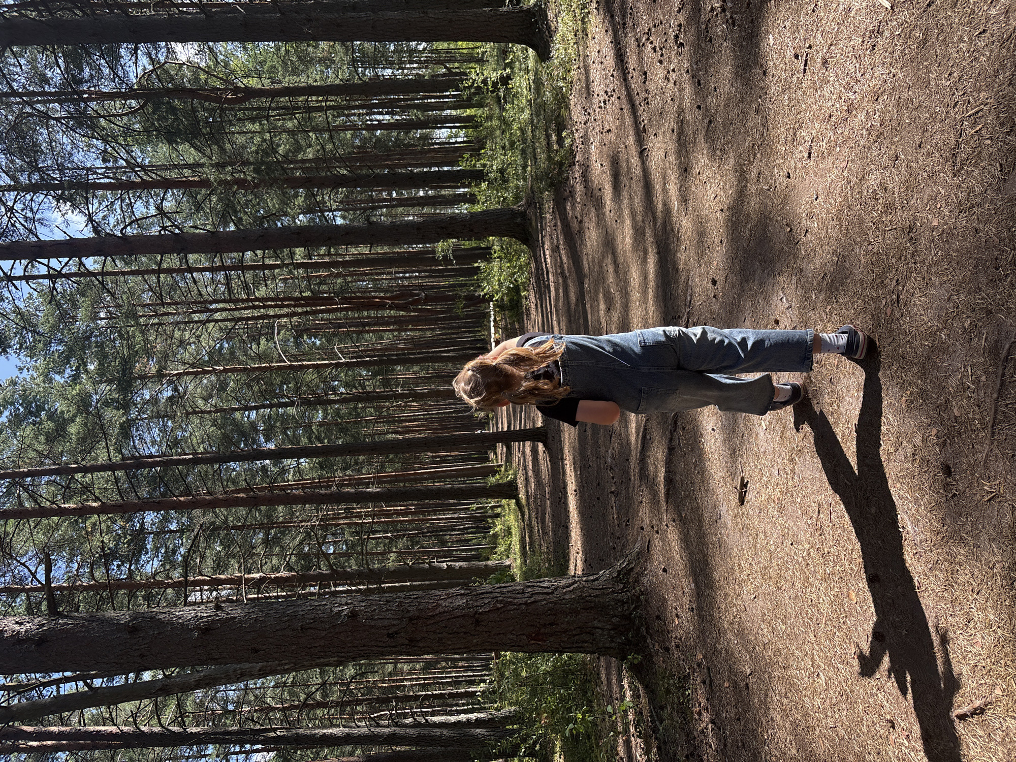 A young person with light brown hair, wearing denim overalls and a black t-shirt, is walking away from the camera down a path in a pine forest. The path is covered with pine needles and fallen cones. Sunlight filters through the tall trees, casting dappled shadows on the ground. The trees are densely packed, with a few smaller trees and undergrowth visible on the sides of the path. The sky is visible through the canopy, appearing blue with some white clouds. The scene suggests a peaceful walk in nature. This location is likely in or near Beloostrov, Russia, a town known for its forested areas.