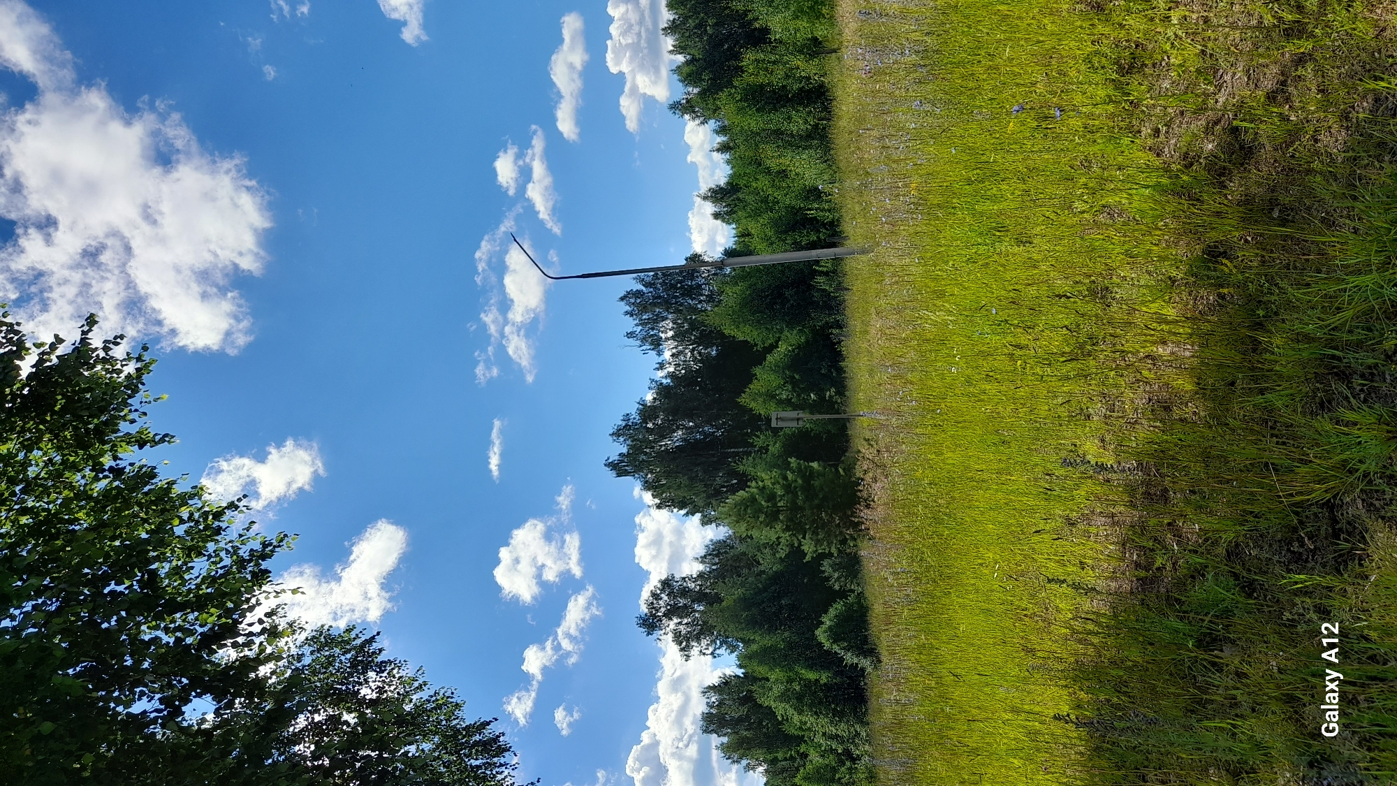 A sunny, outdoor scene shows a field of tall, green grass under a bright blue sky dotted with fluffy white clouds. A dense line of green trees forms a horizon in the background. A tall, slender lamppost stands in the middle ground, leaning slightly to the right. In the foreground, the bottom left corner of the image displays the text "Galaxy A12". The overall impression is of a rural or semi-rural landscape in Markovsky, Russia.